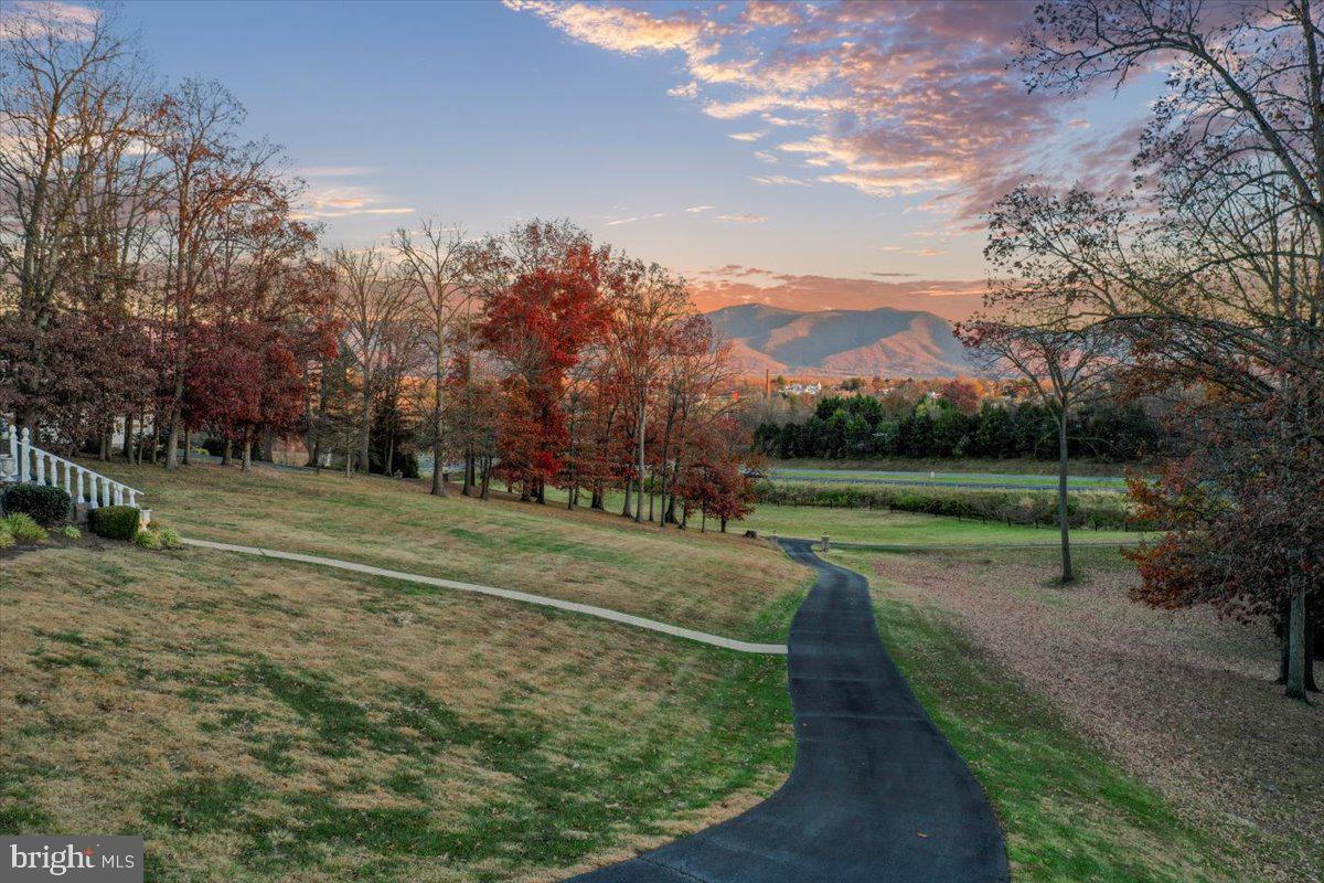 LURAY - Commercial Sale