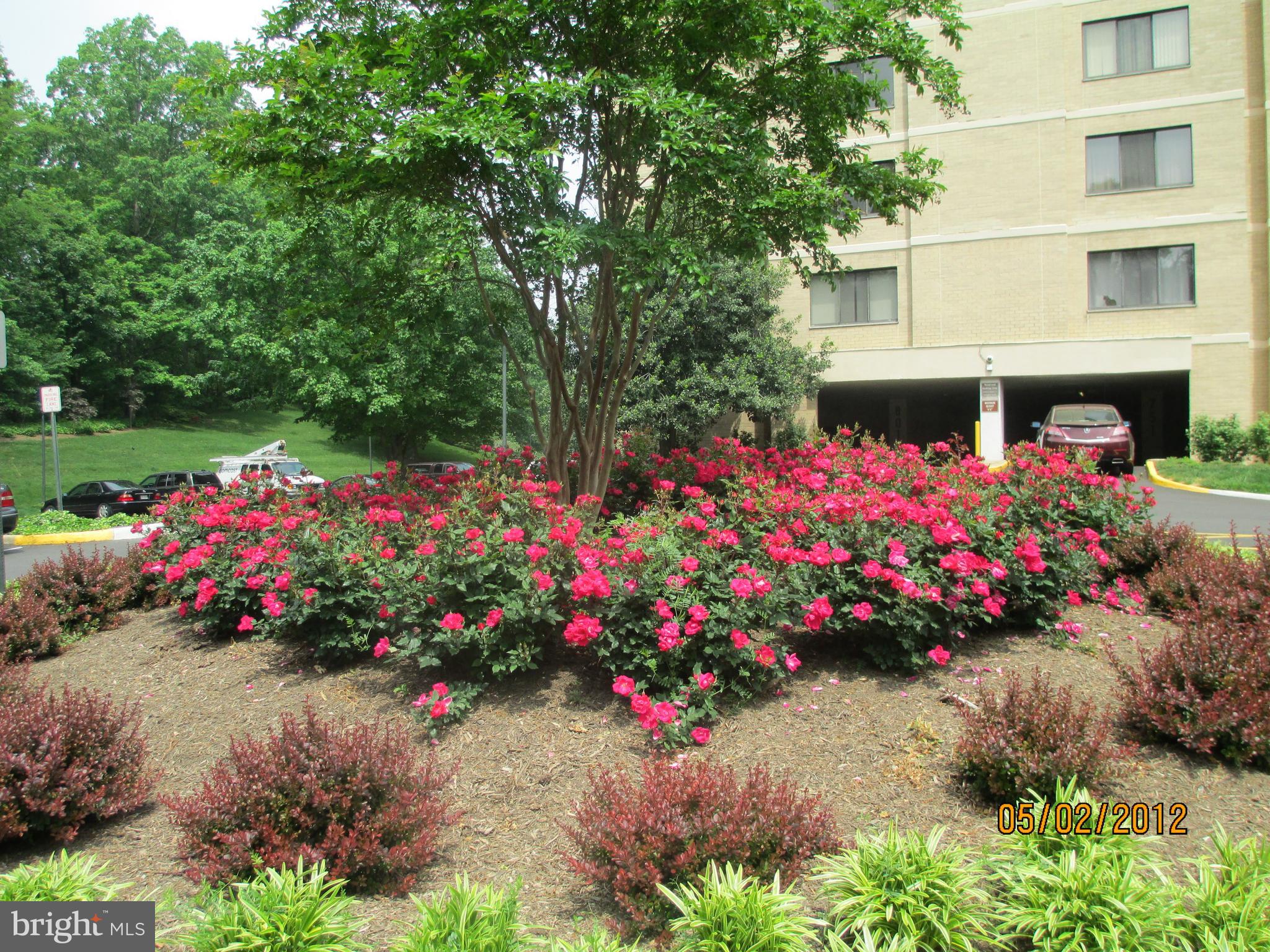 WATERGATE AT LANDMARK - Residential