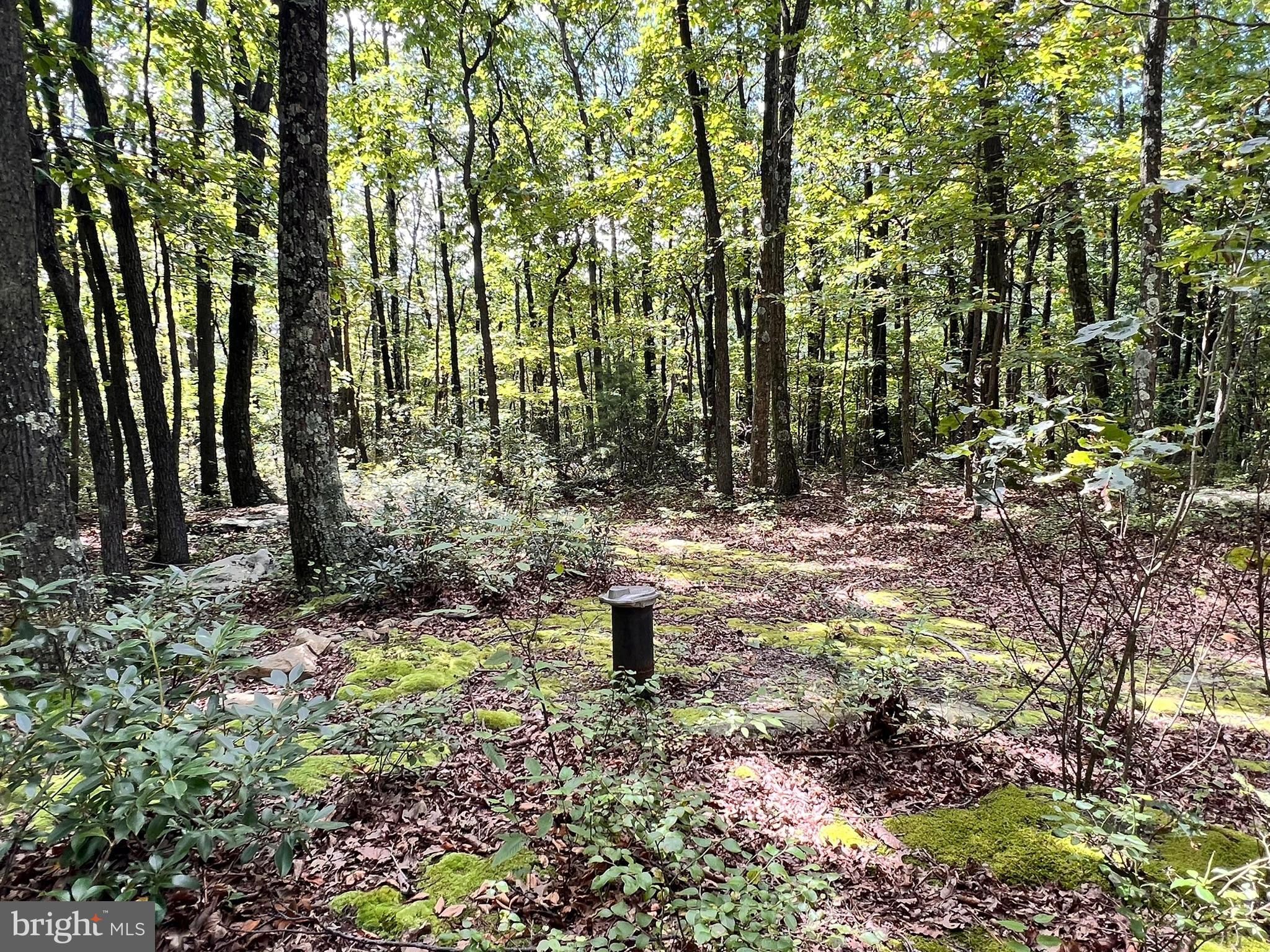 SPRUCE PINE HOLLOW - Land