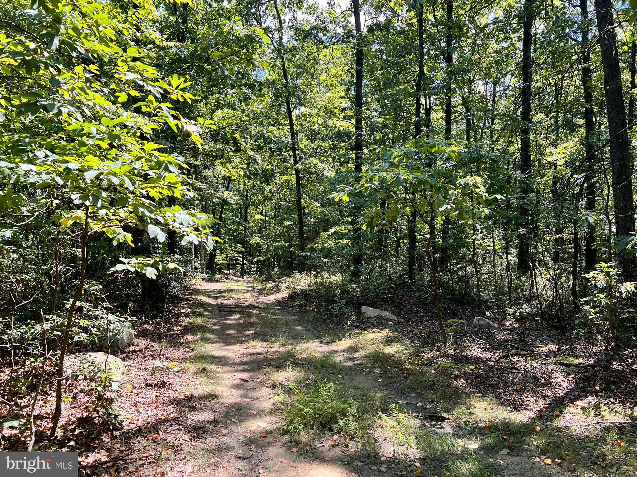 SPRUCE PINE HOLLOW - Land