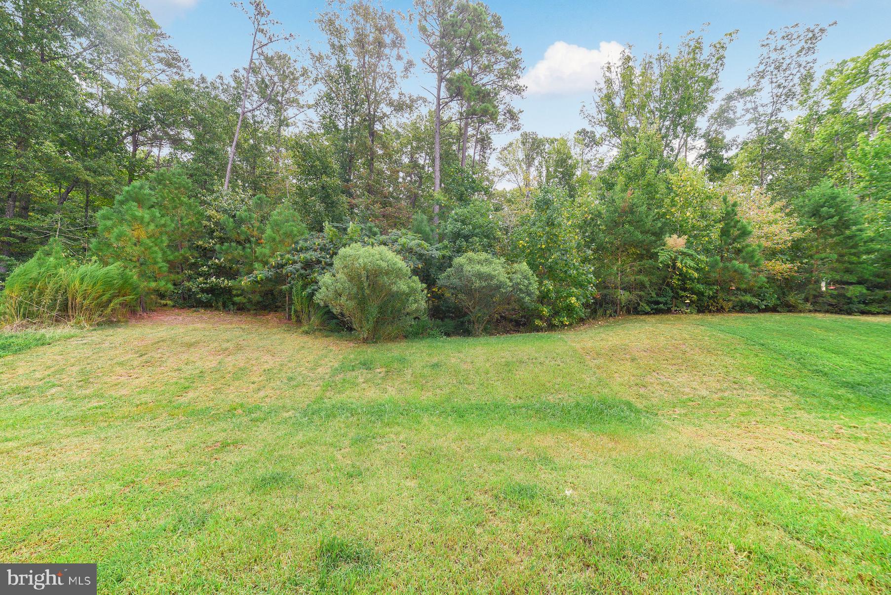 WOODLAND PK AT WILDEWOOD - Residential