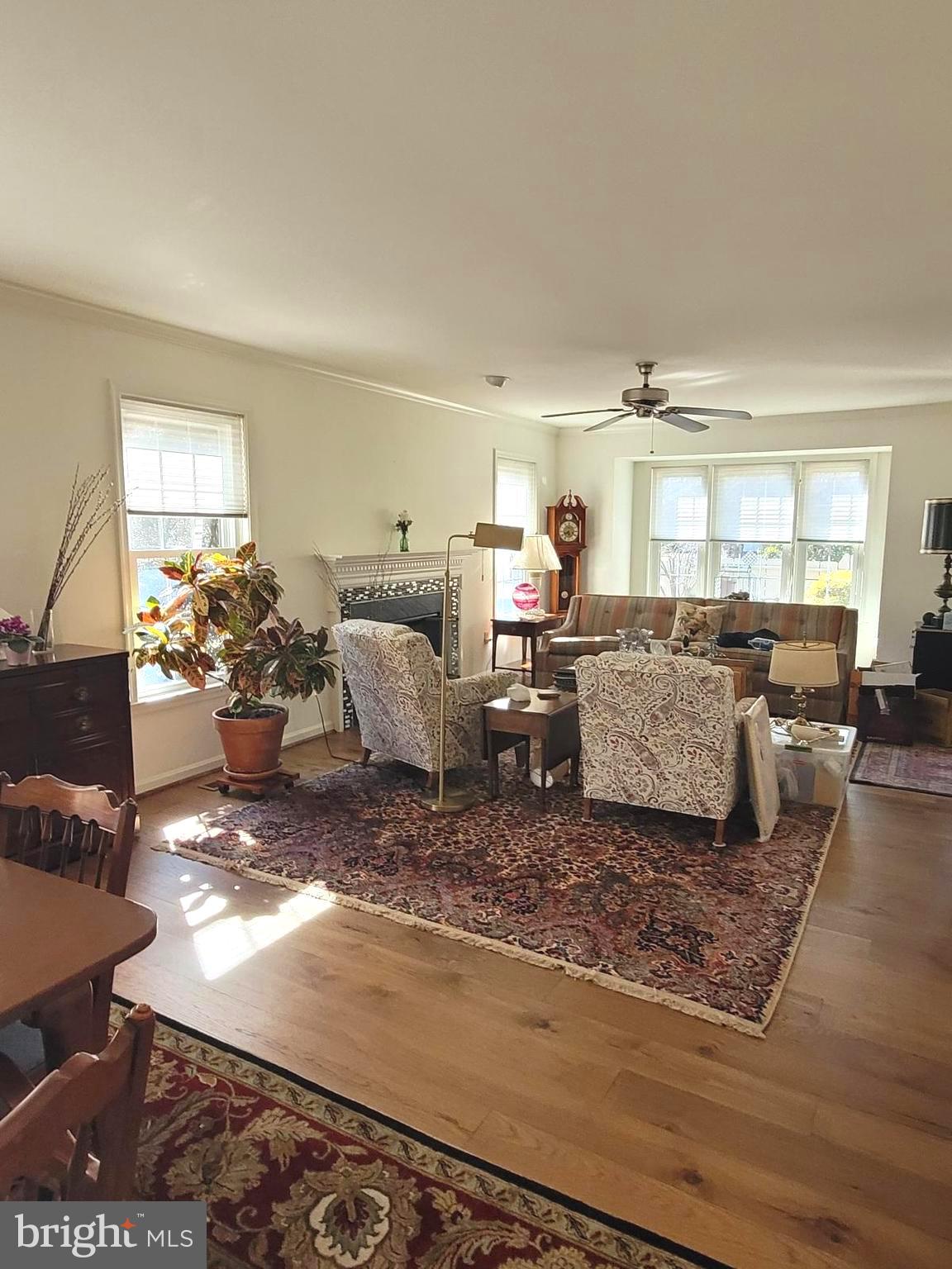 CAMBRIDGE COMMONS - Residential