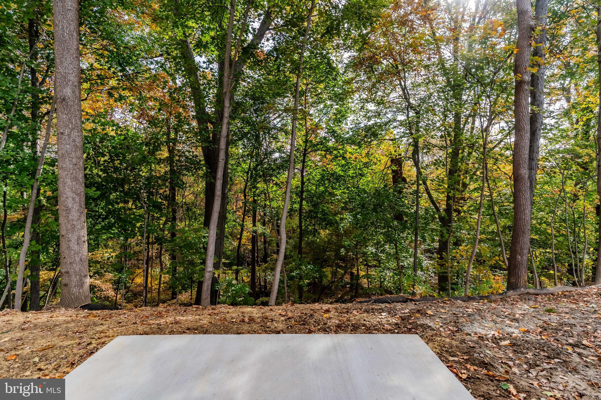 MOUNTAIN VIEW - Residential