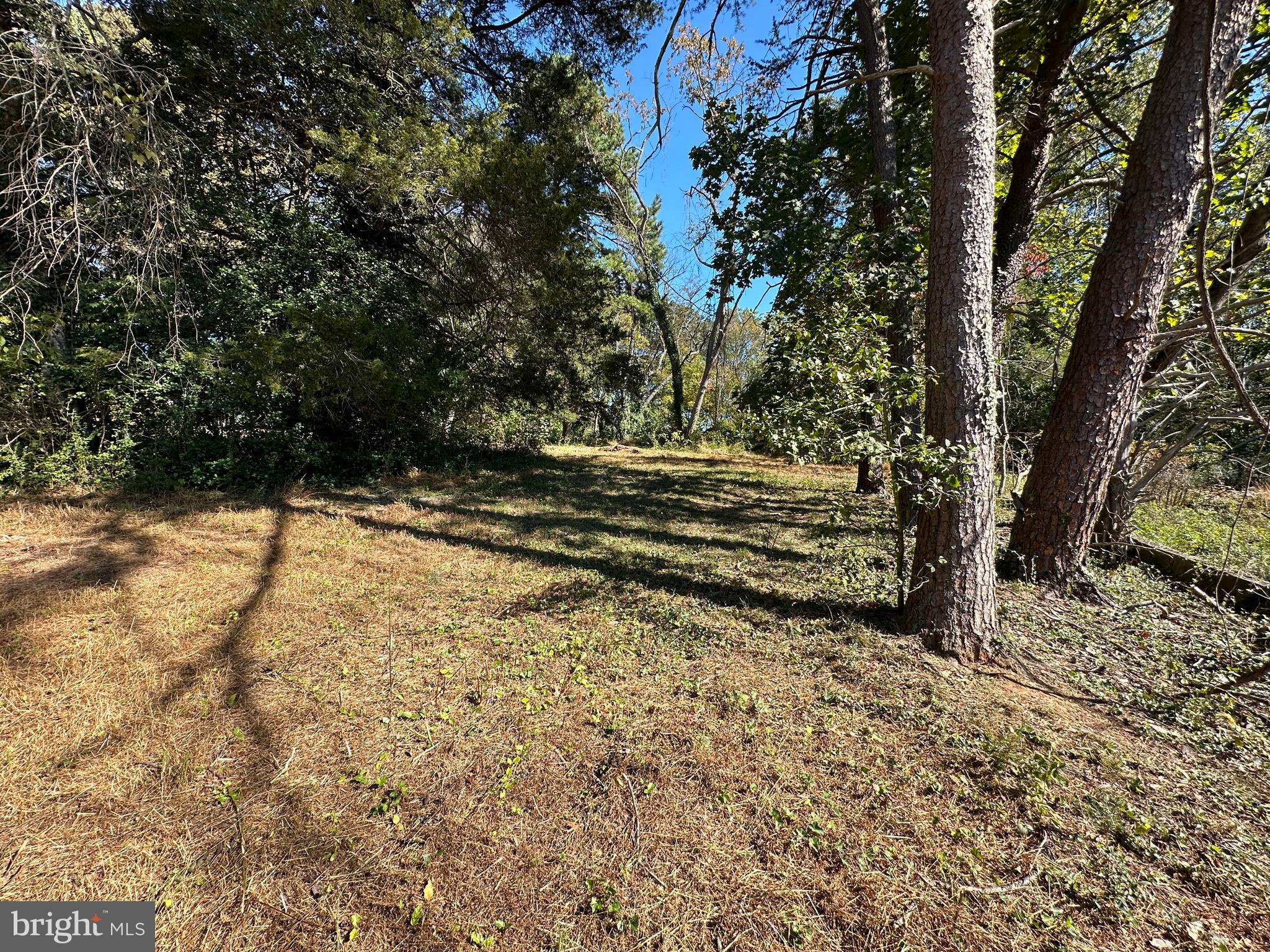 WAKEFIELD FOREST - Residential