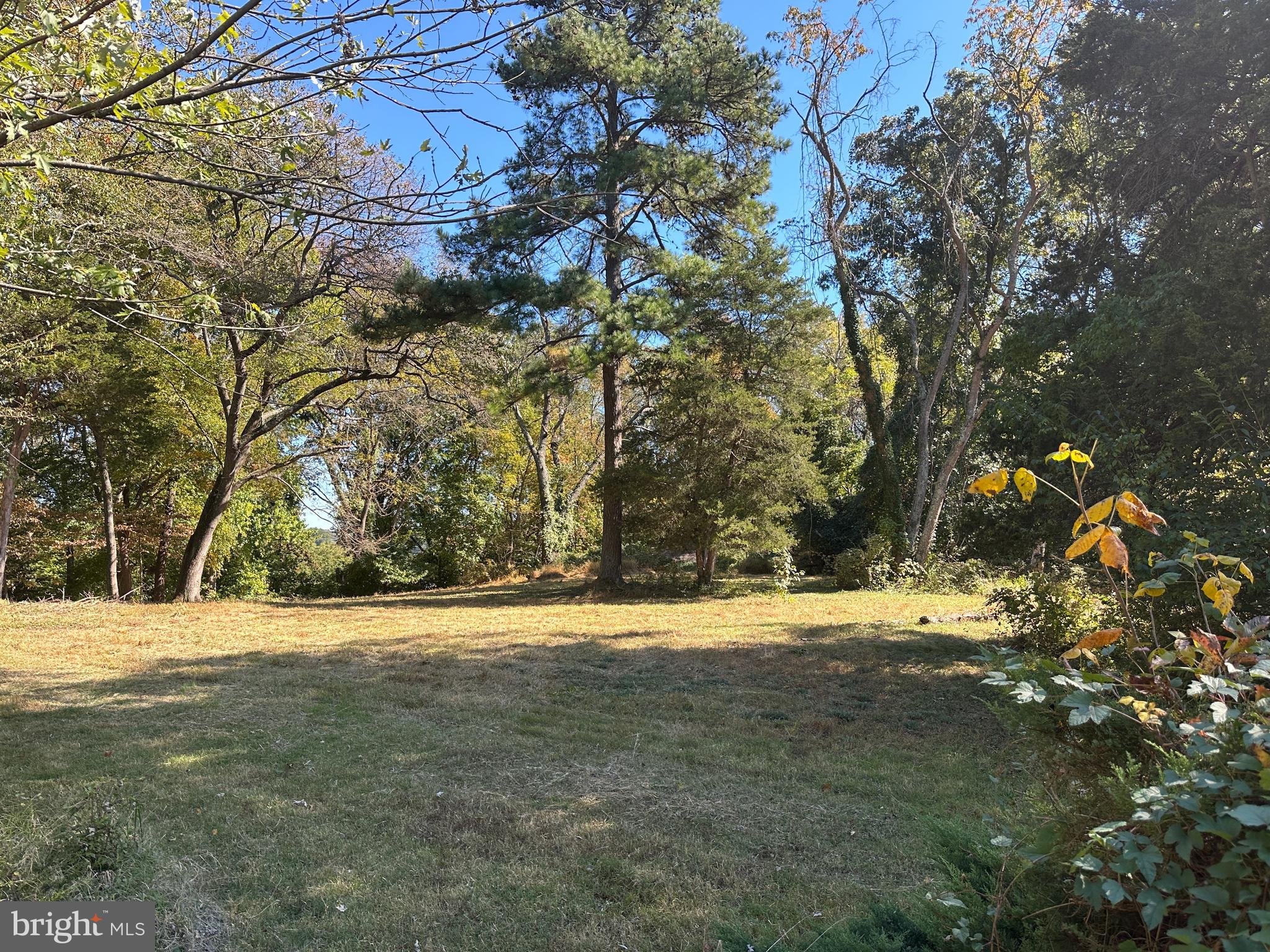 WAKEFIELD FOREST - Residential