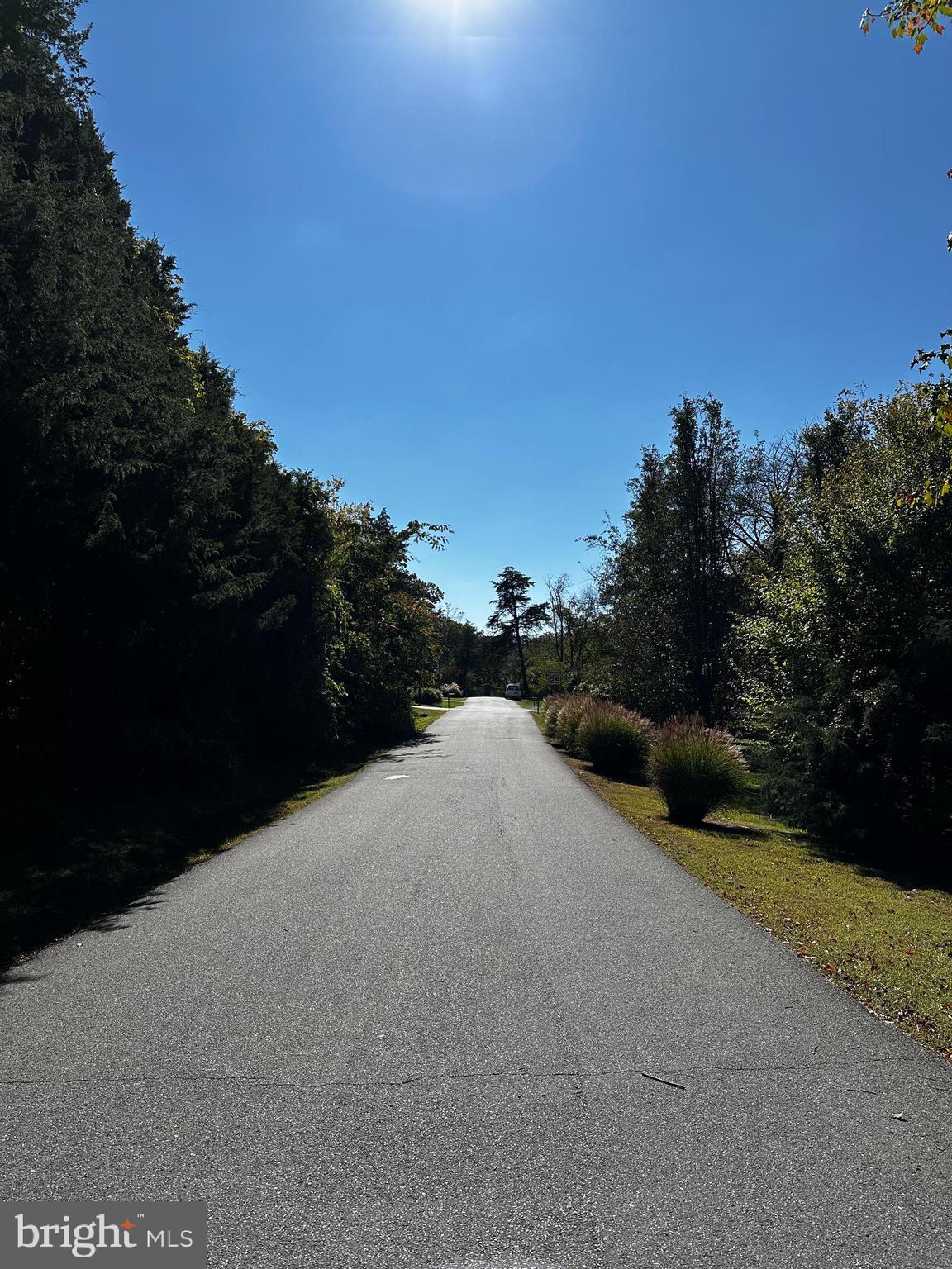 WAKEFIELD FOREST - Residential