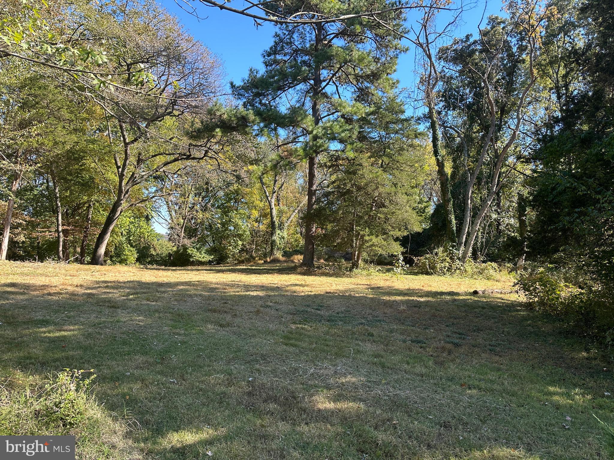 WAKEFIELD FOREST - Residential