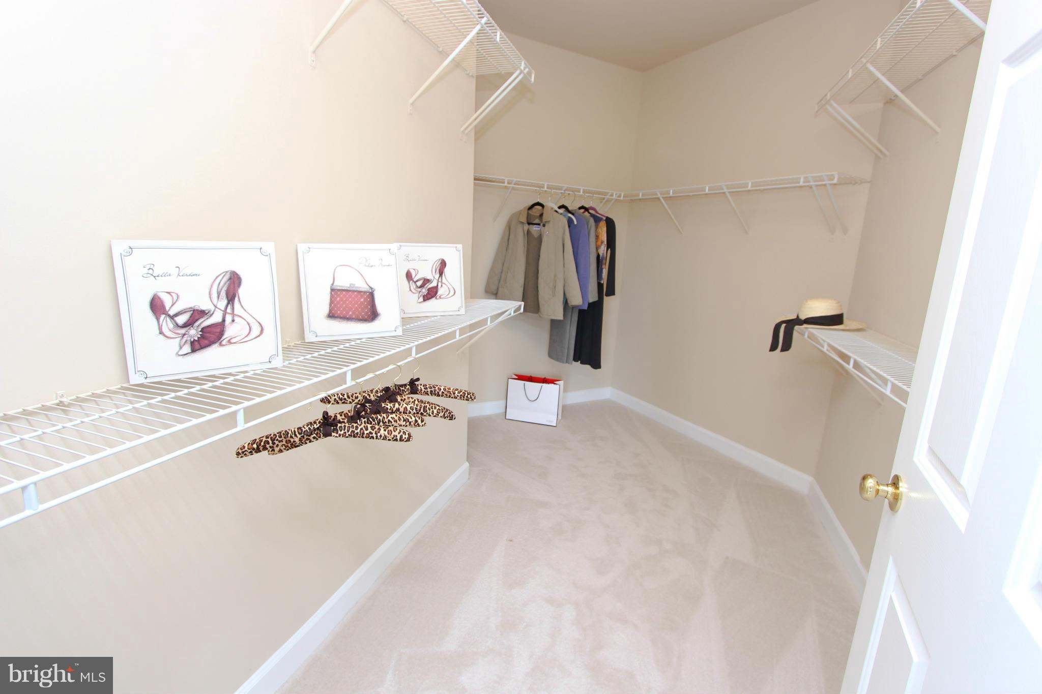 HAMILTON STATION ESTATES - Residential