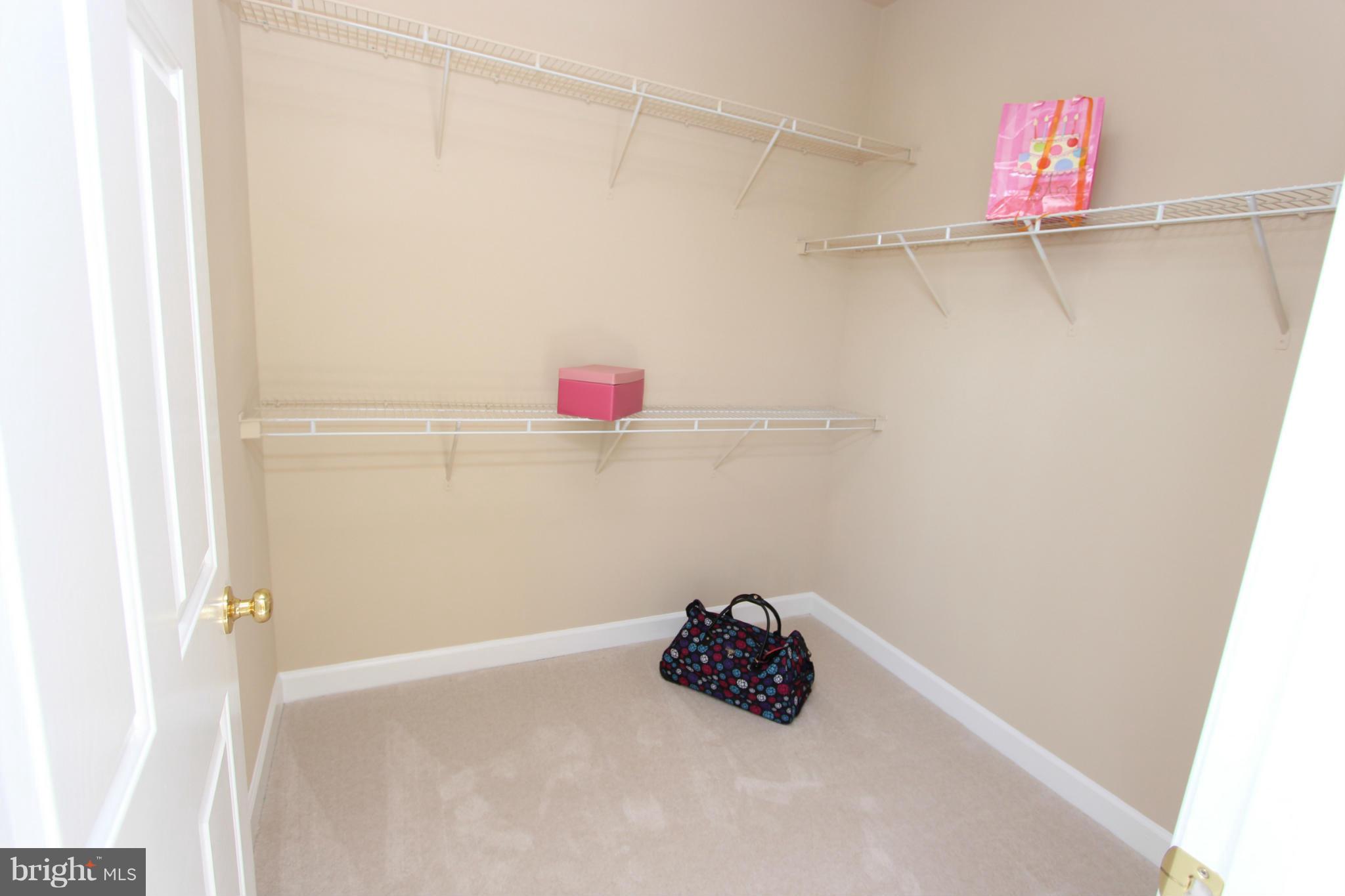 HAMILTON STATION ESTATES - Residential