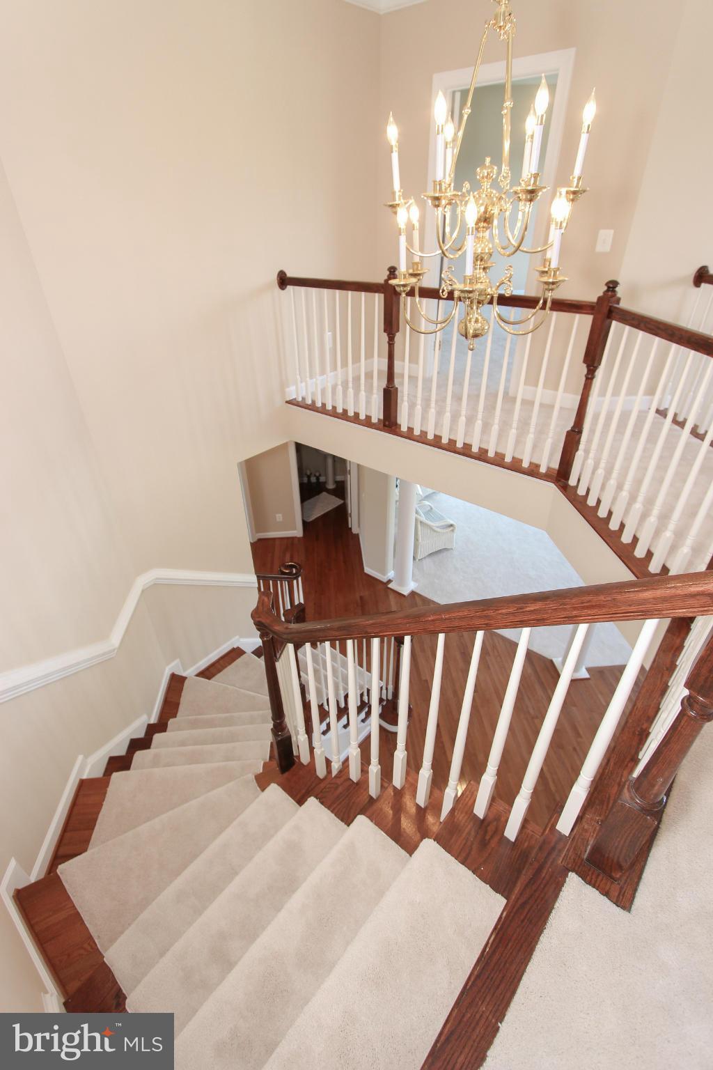 HAMILTON STATION ESTATES - Residential