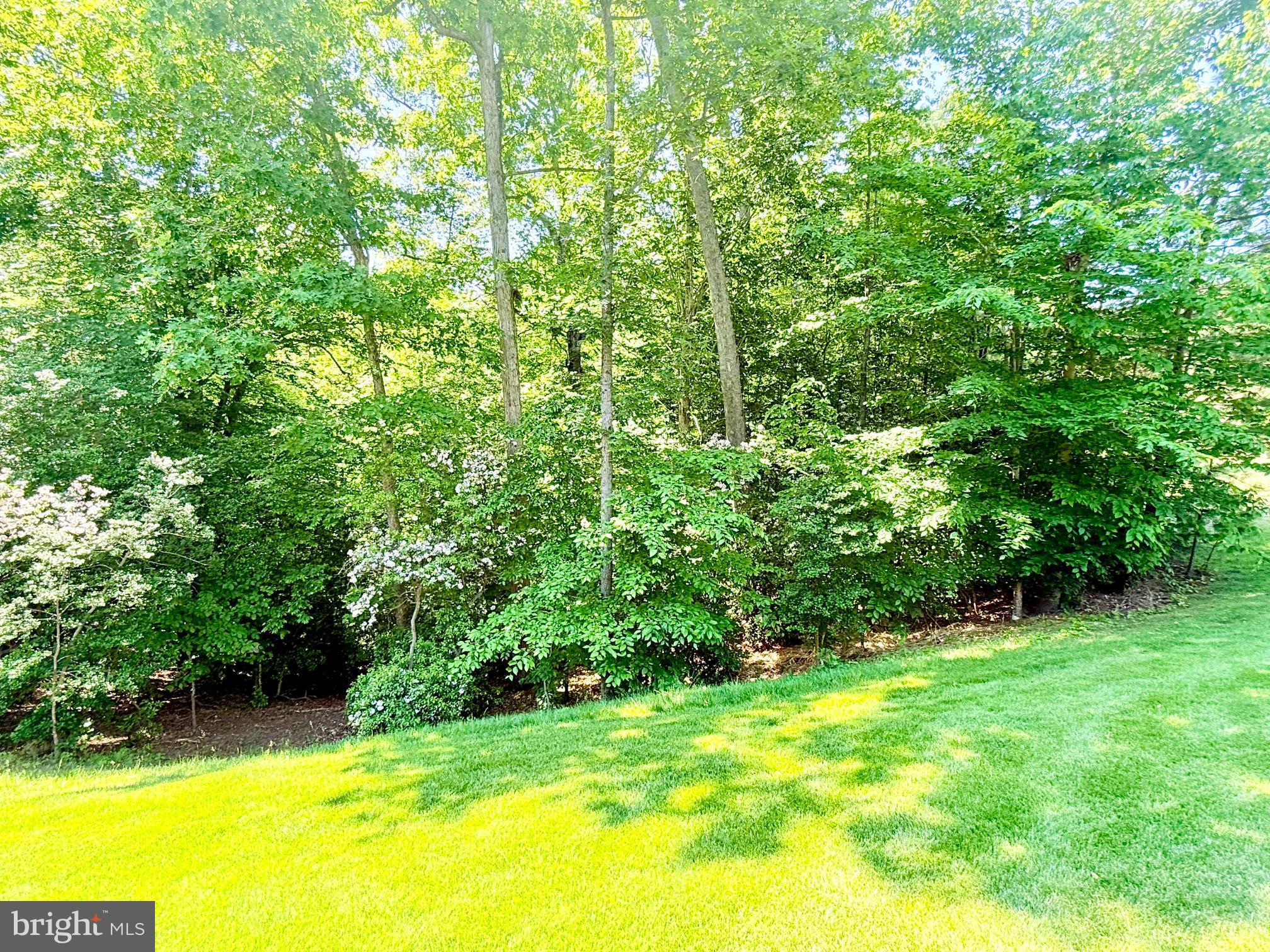 WOODS SUBDIVISION - Residential