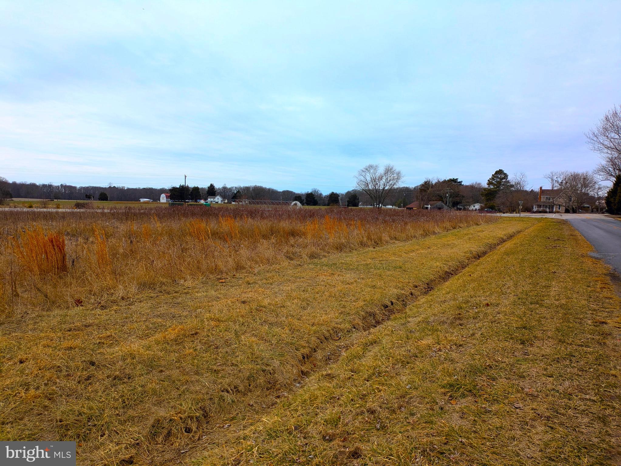 NEIGHBORS ROAD