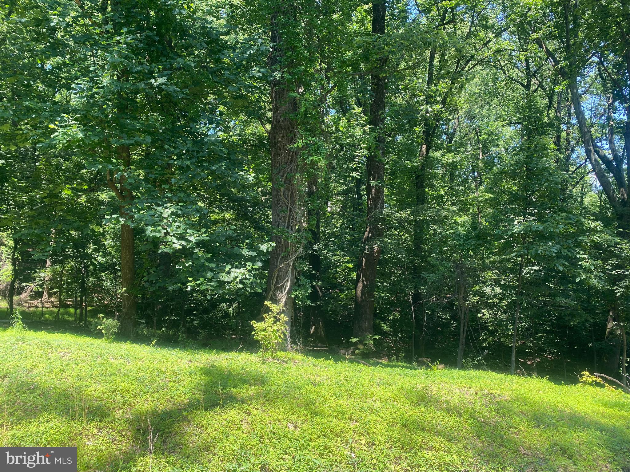 LOT 17A1 TIMBER LANE