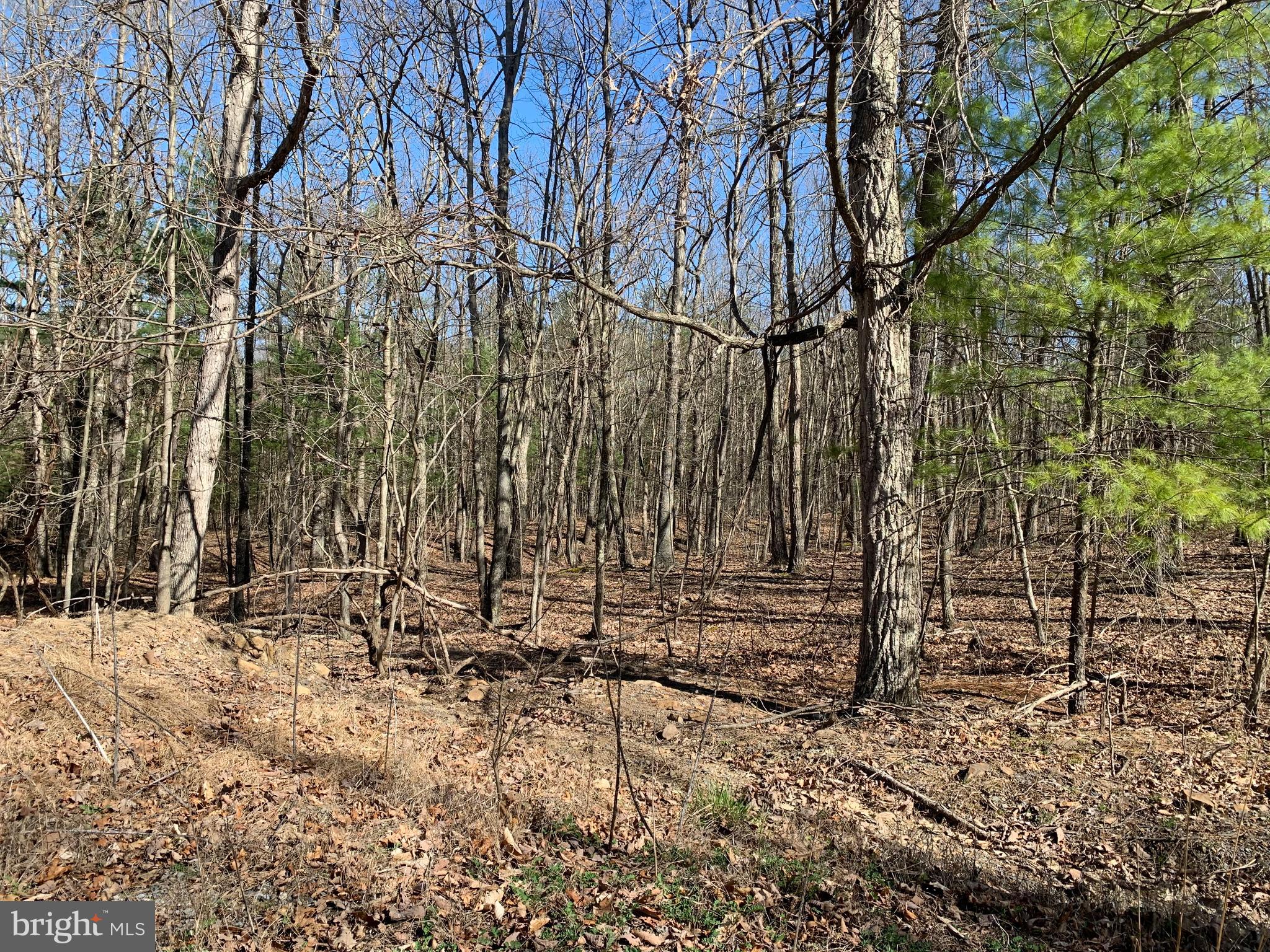 LAKE FERNDALE - Land