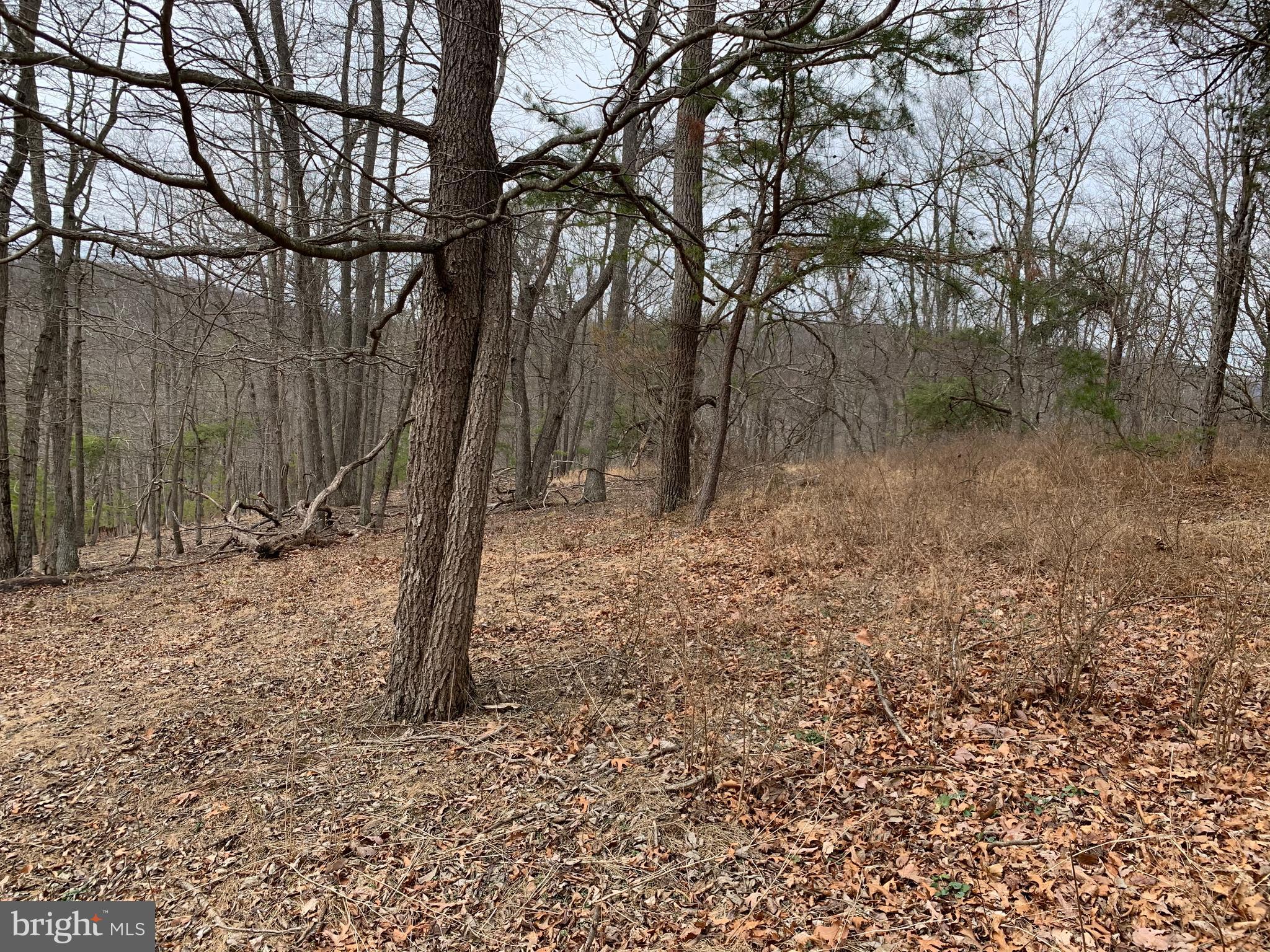 LAKE FERNDALE - Land