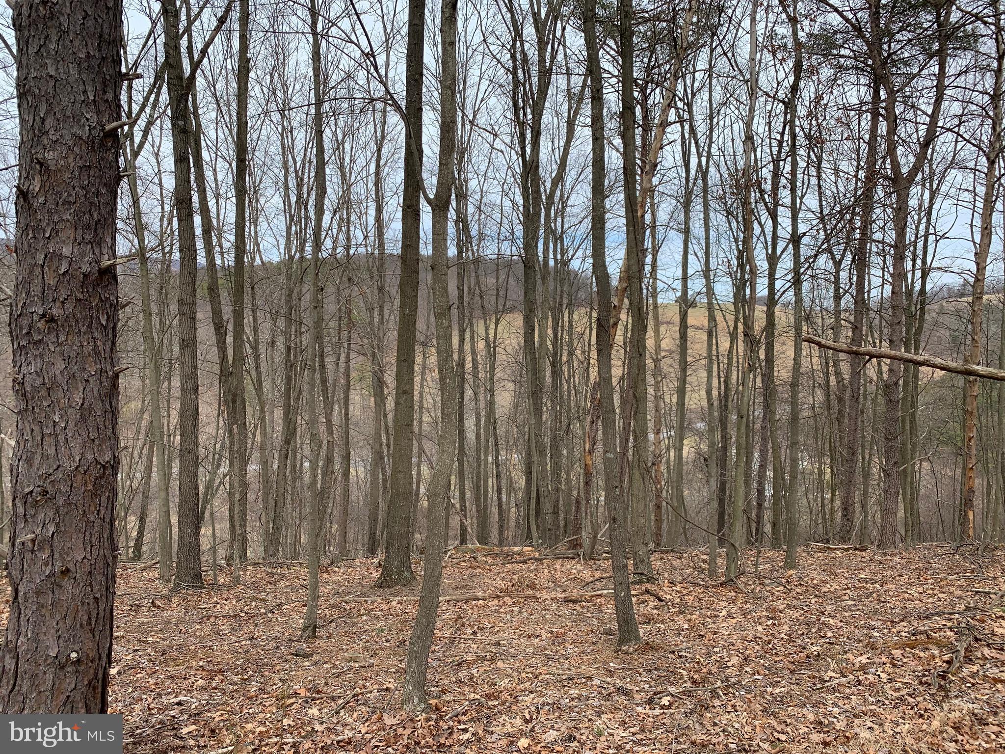 LAKE FERNDALE - Land