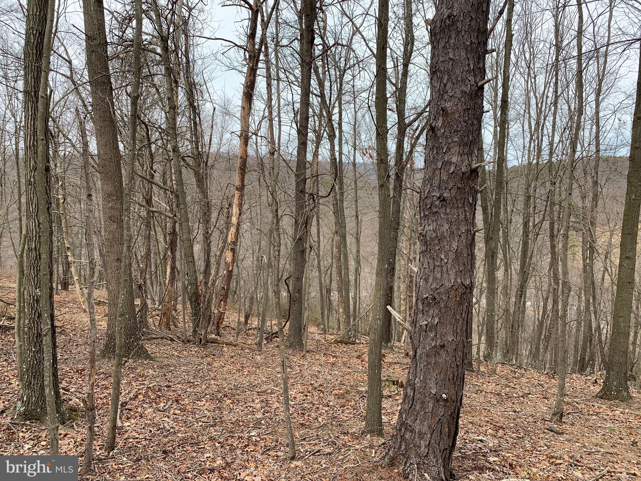 LAKE FERNDALE - Land