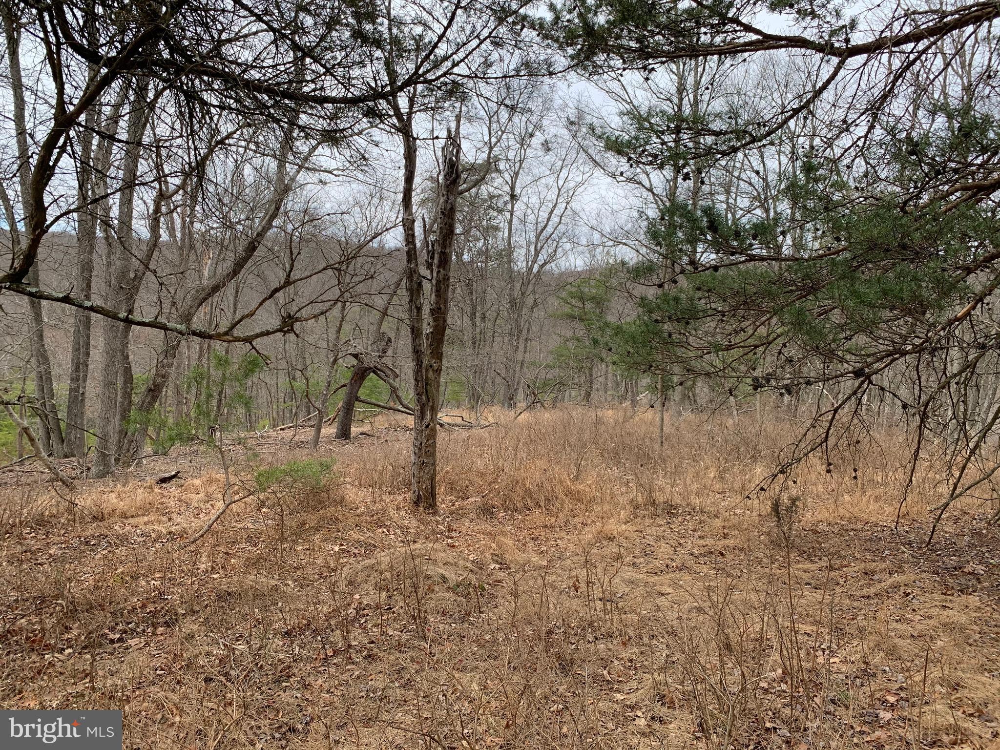 LAKE FERNDALE - Land