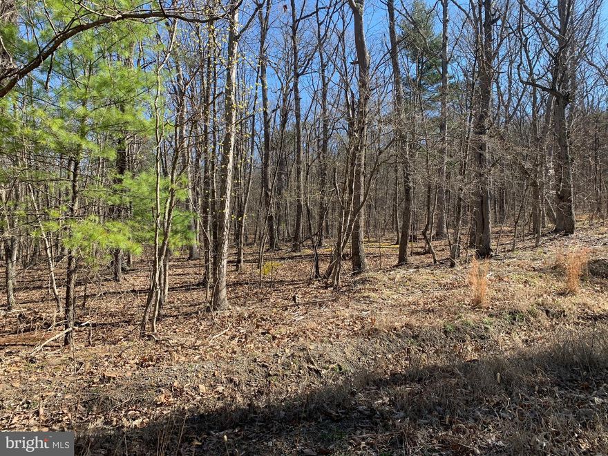 NICE WOODED FIVE ACRE PARCEL WITHIN WALKING DISTANCE OF LAKE ACCESS -- BEACH, FISHING, BOATING, AND MORE.   BUILD A WEEKEND GETAWAY OR A PERMANENT HOME, OR JUST COME, BRING A CHAIR,  AND RELAX .  GREAT LOCATION, GREAT PRICE.   HURRY.