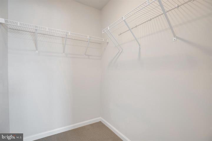 CARTER'S MILL - Residential