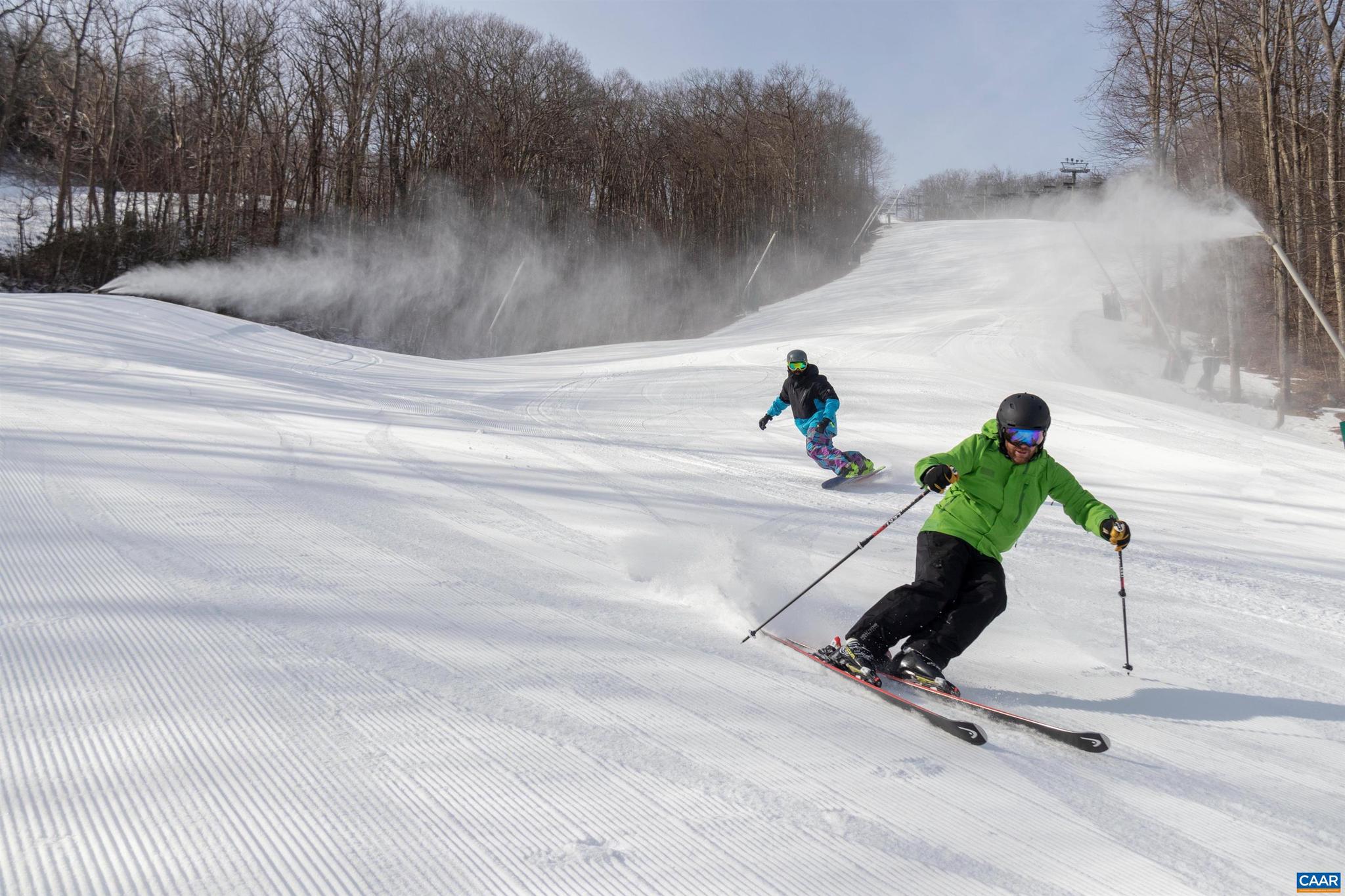 WINTERGREEN RESORT - Residential