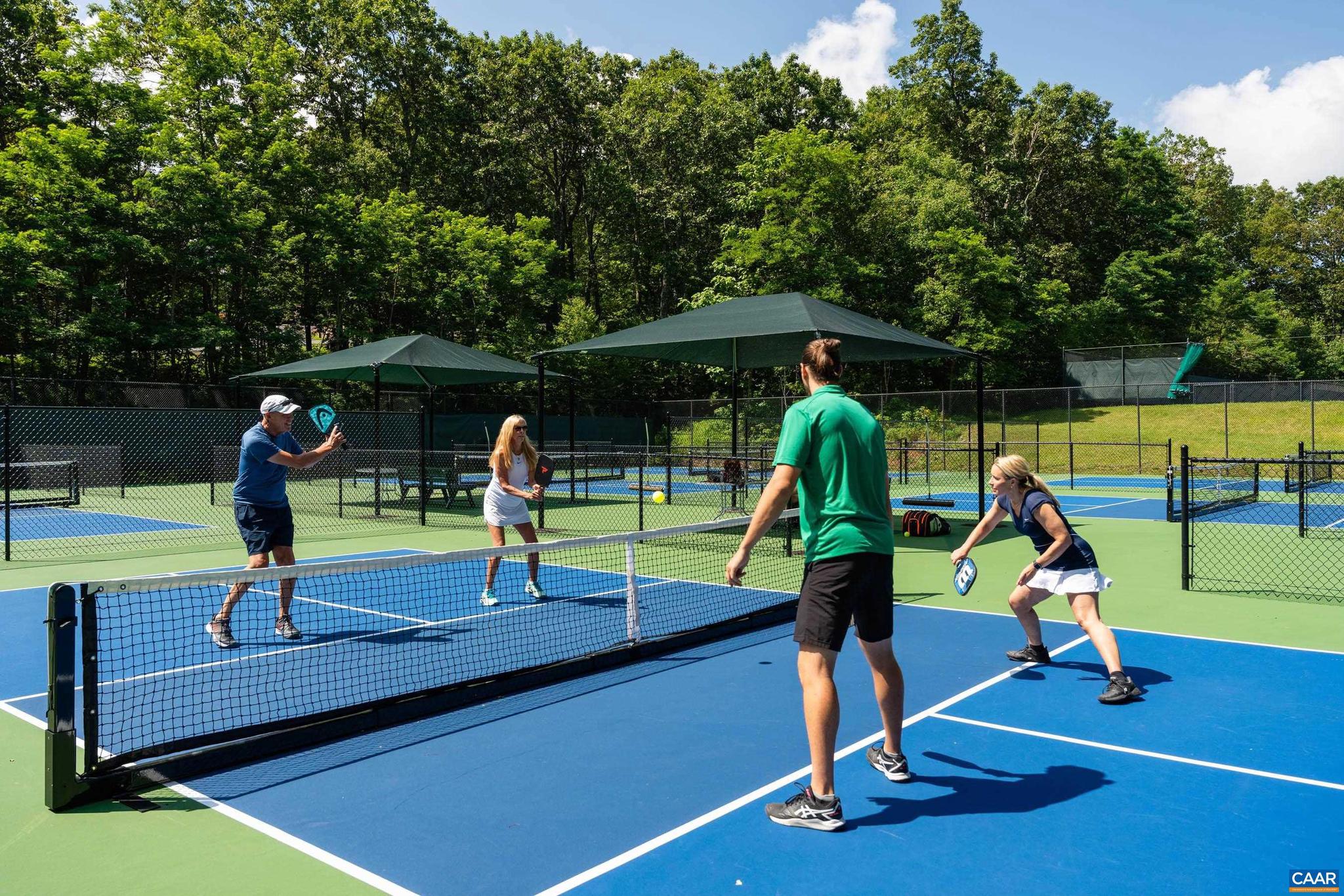 WINTERGREEN RESORT - Residential