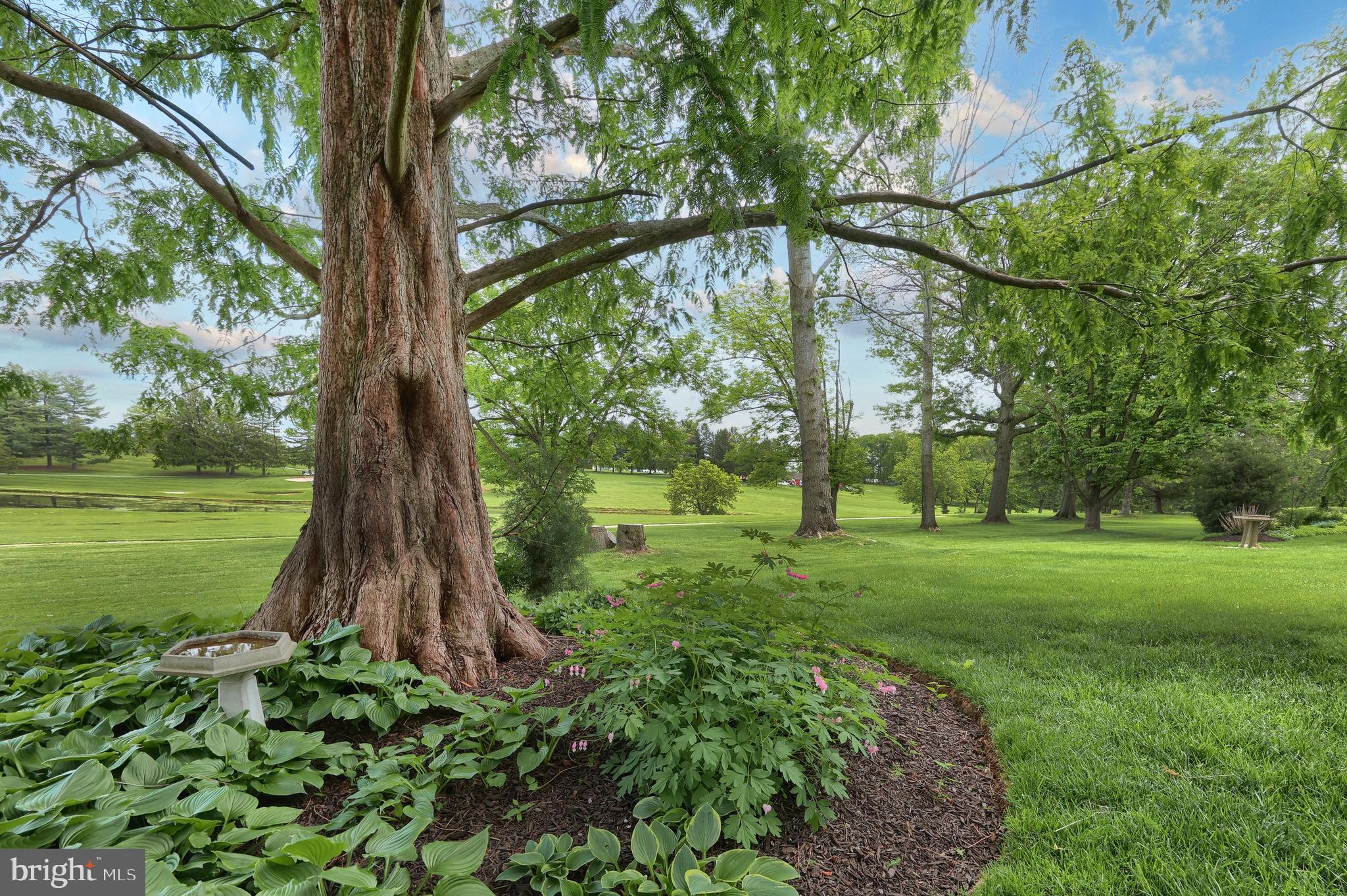 SOUTH HILLS - Residential