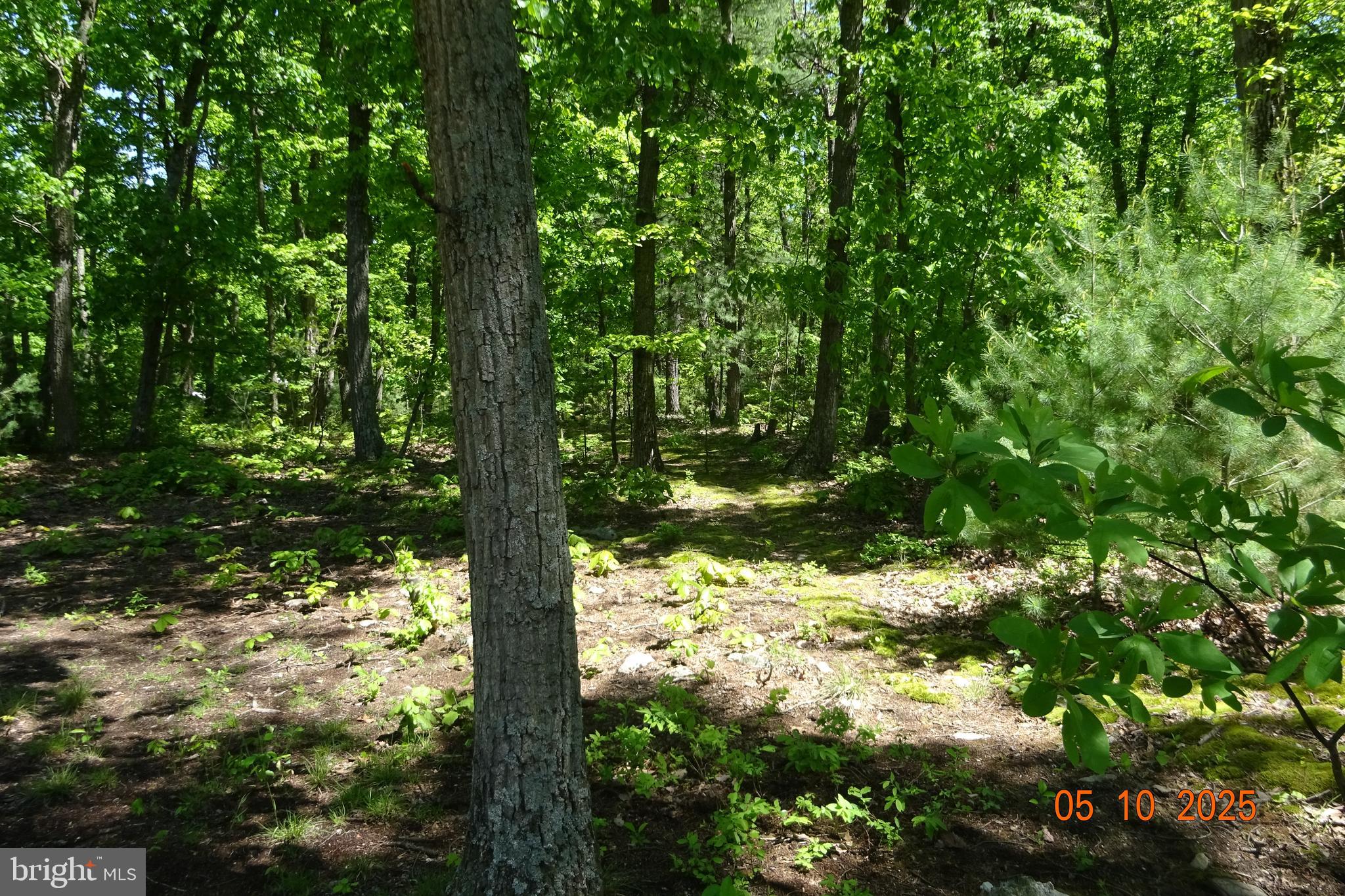 SAN-JO ACRES - Residential