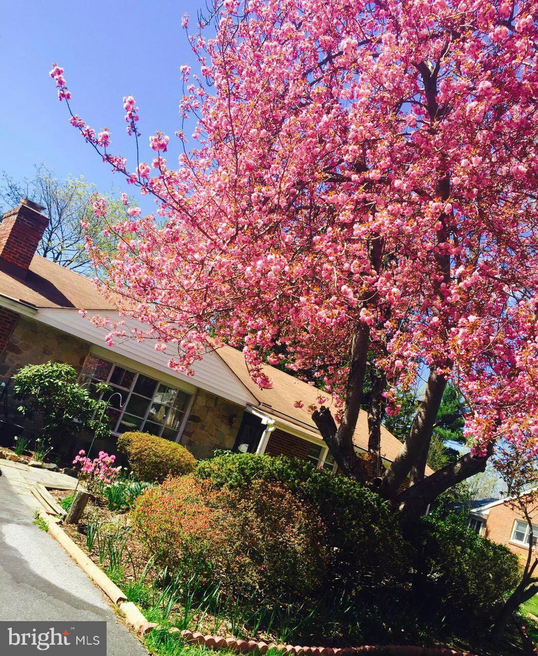 BRINKLEIGH - Residential