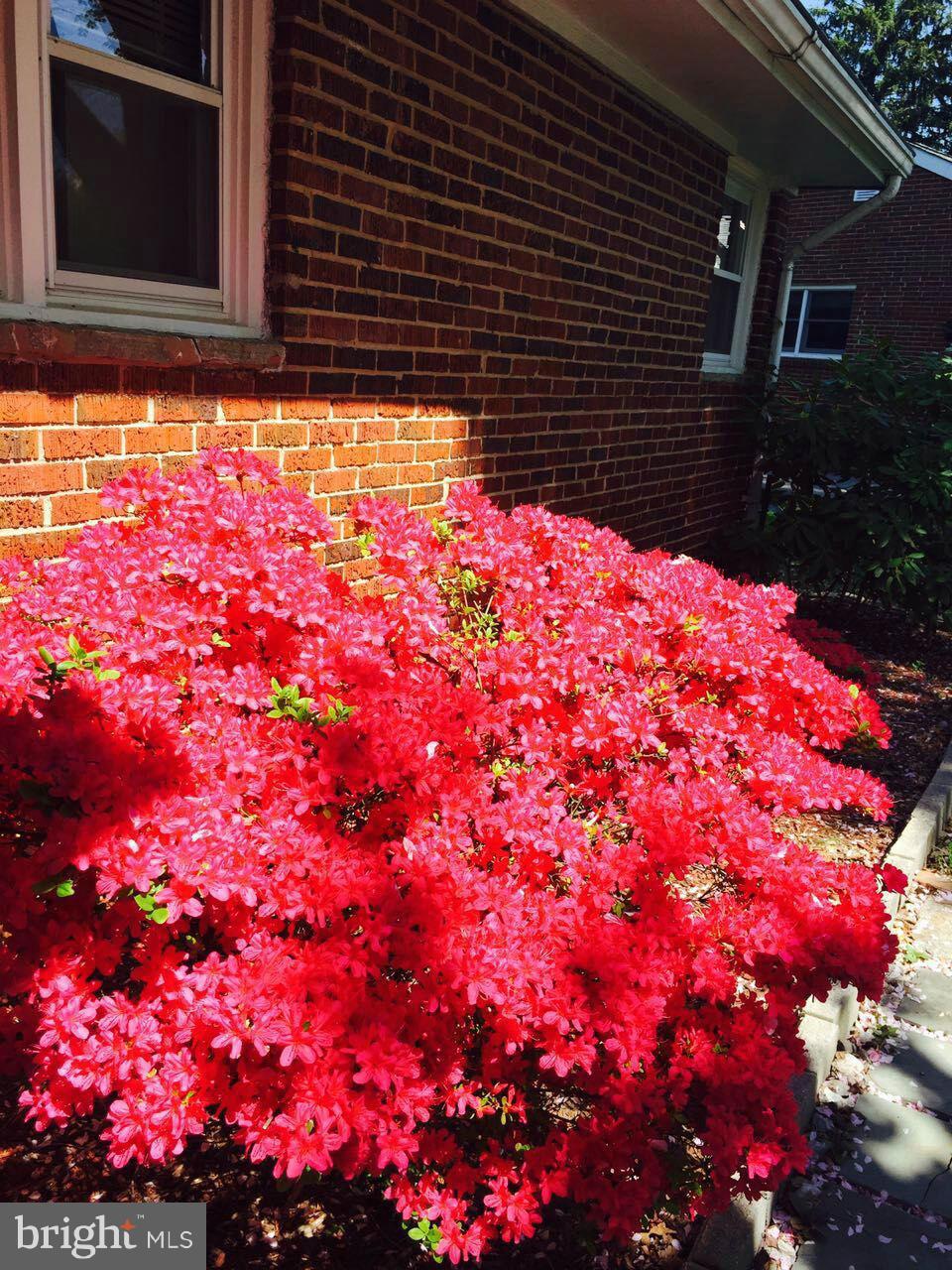 BRINKLEIGH - Residential