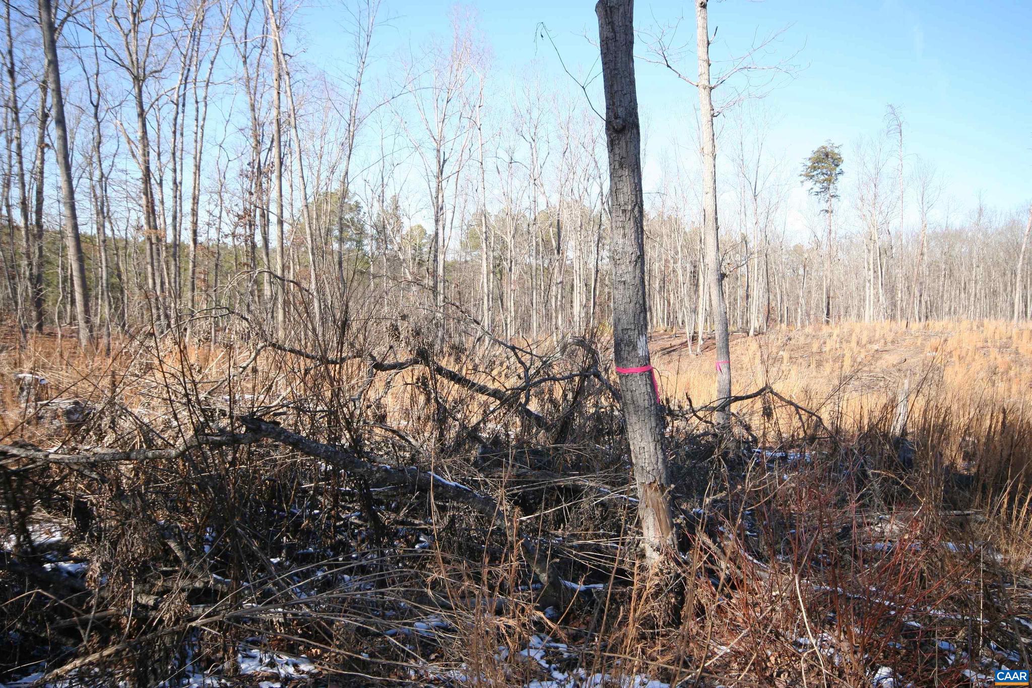 NONE AVAILABLE - Land