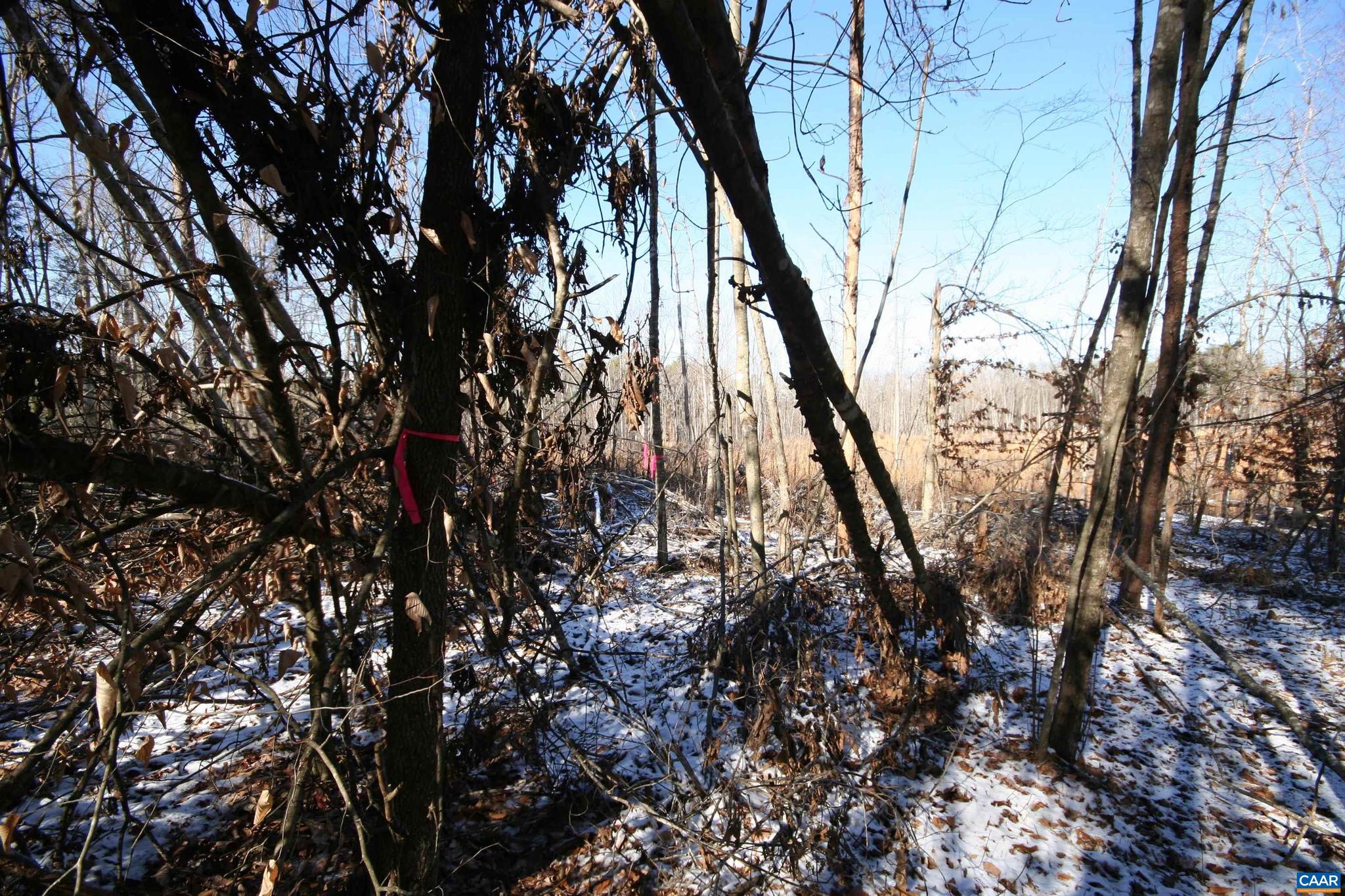 NONE AVAILABLE - Land