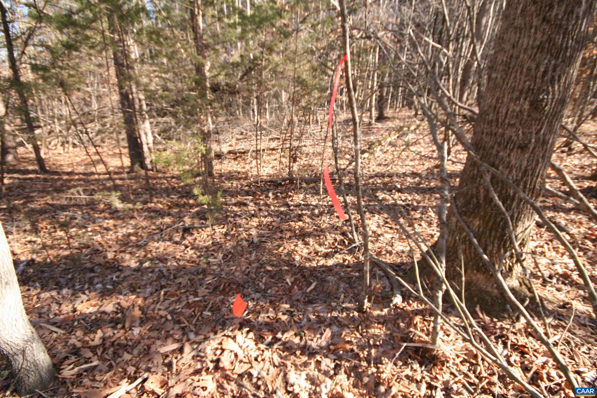 NONE AVAILABLE - Land