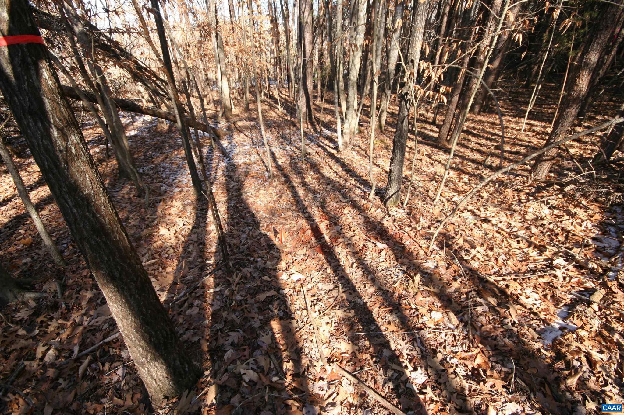 NONE AVAILABLE - Land