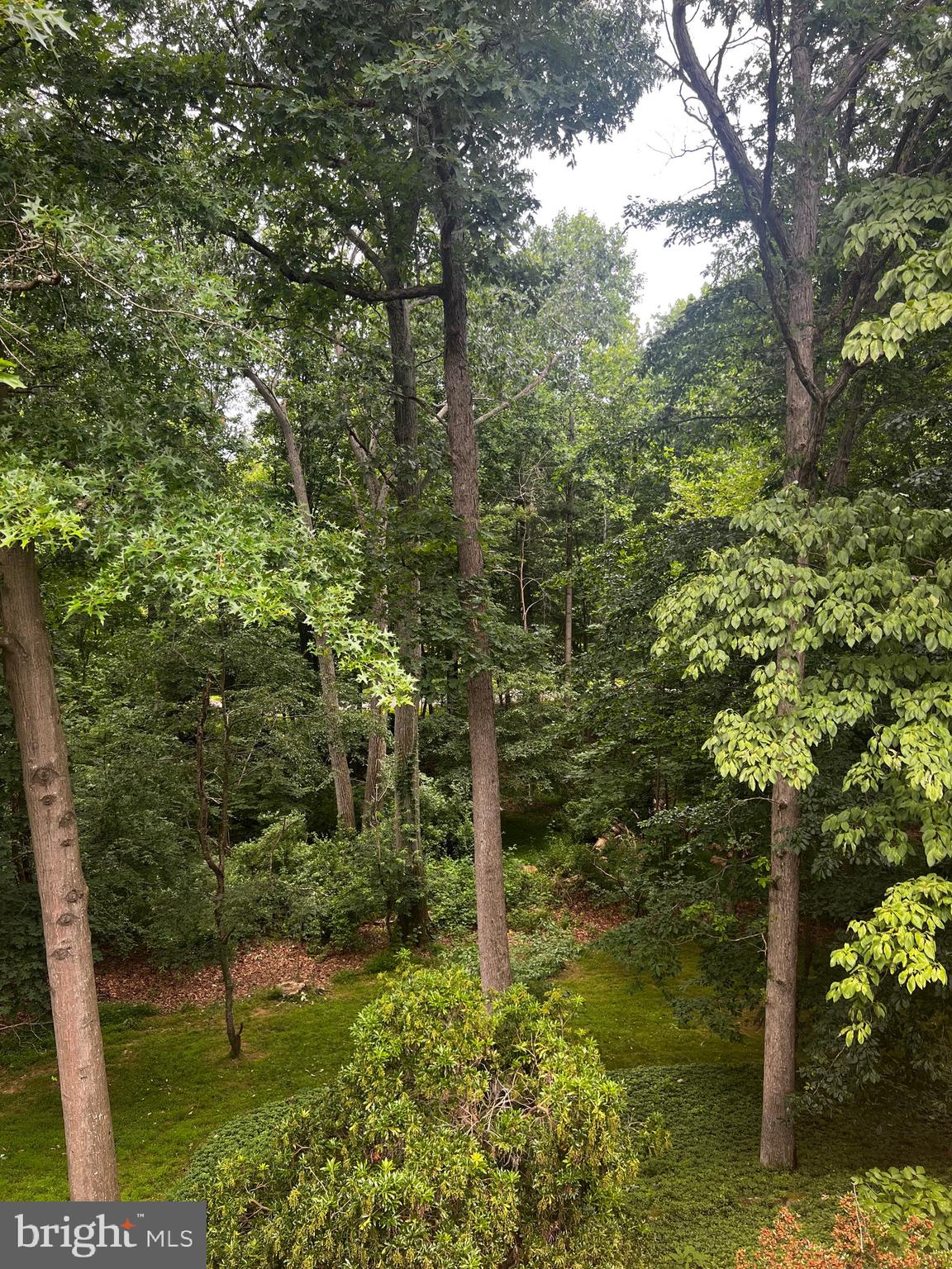 SUN VALLEY - Residential