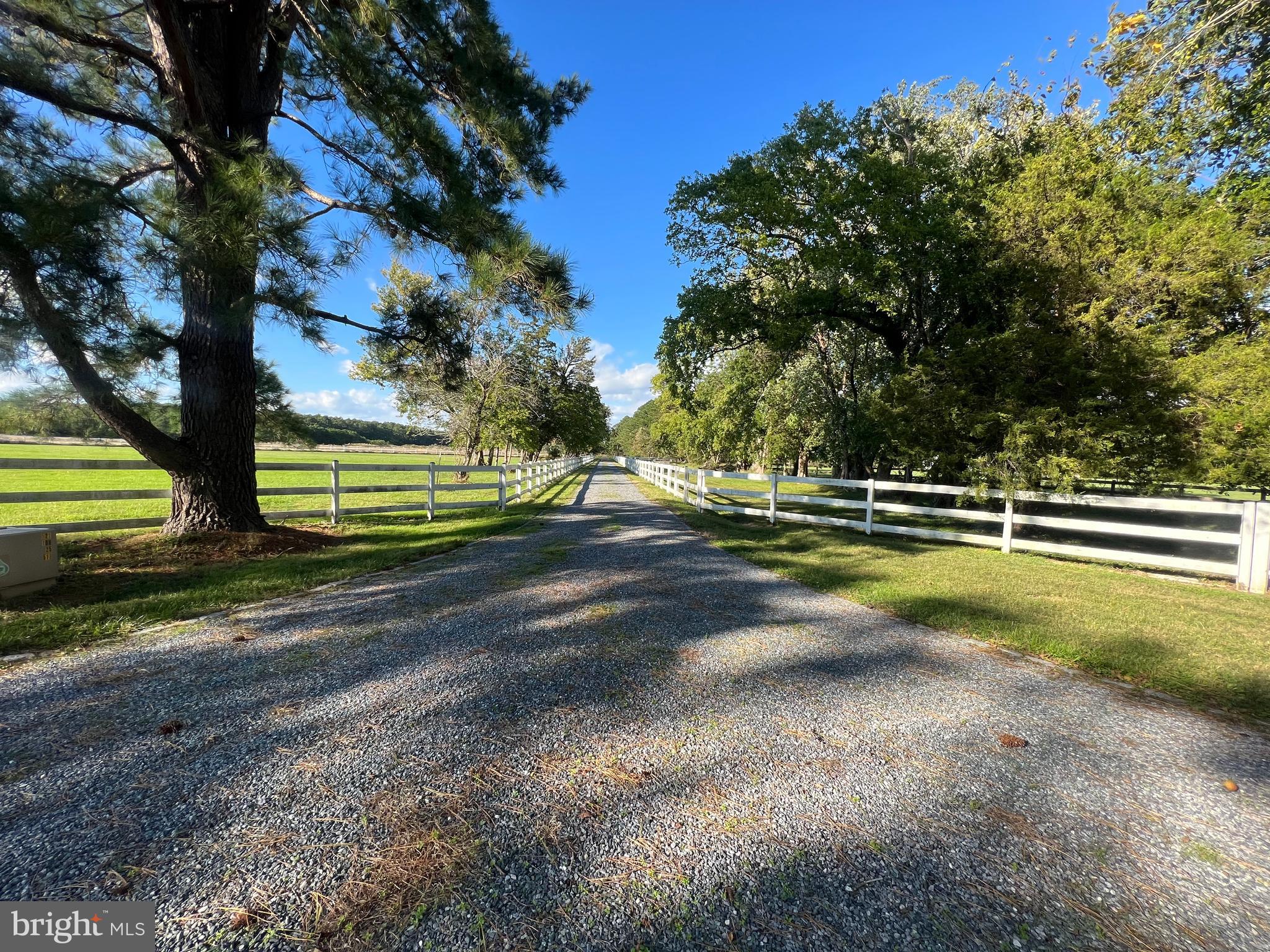 CAMBRIDGE - Residential