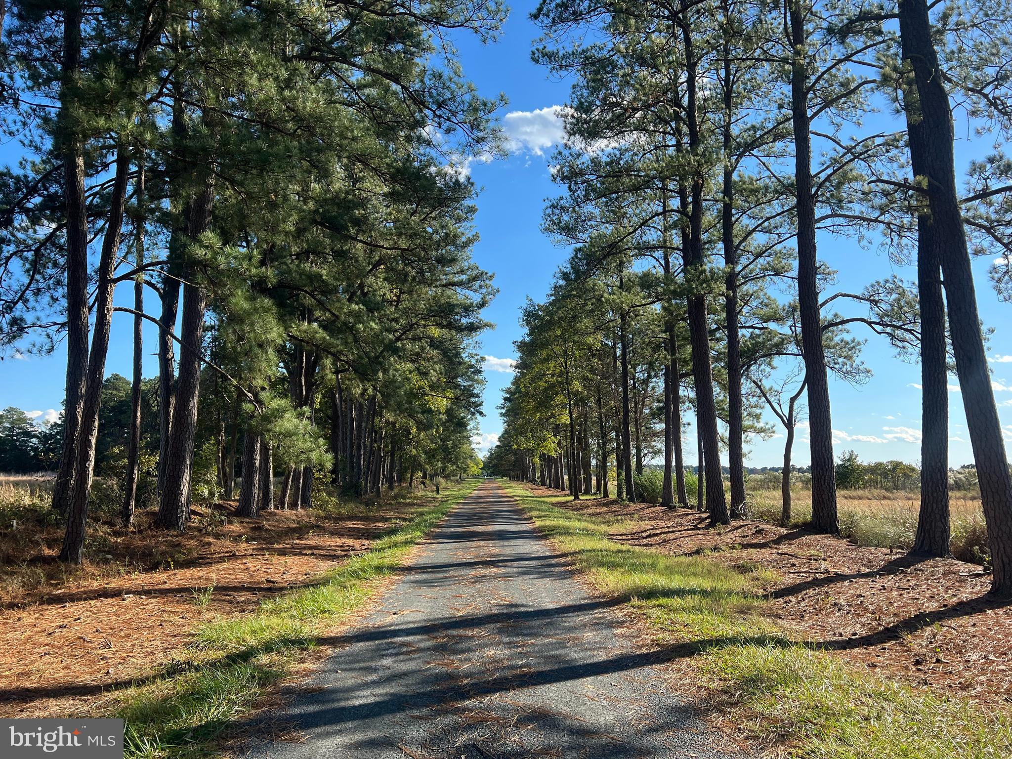 CAMBRIDGE - Residential