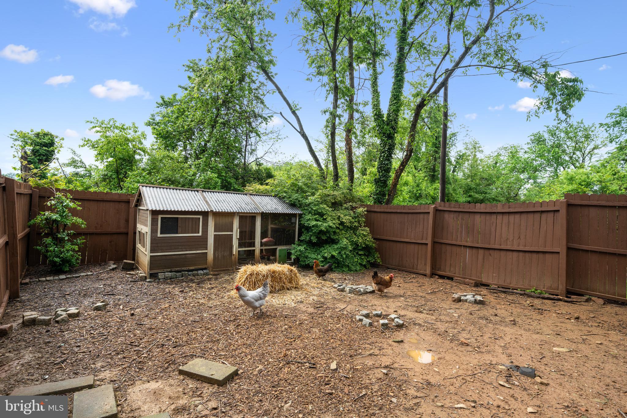 HAMILTON - Residential