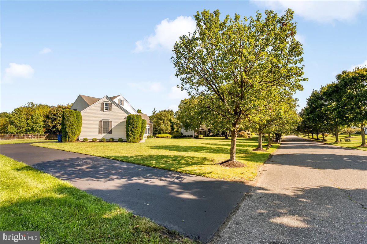18 SUNFLOWER CIRCLE