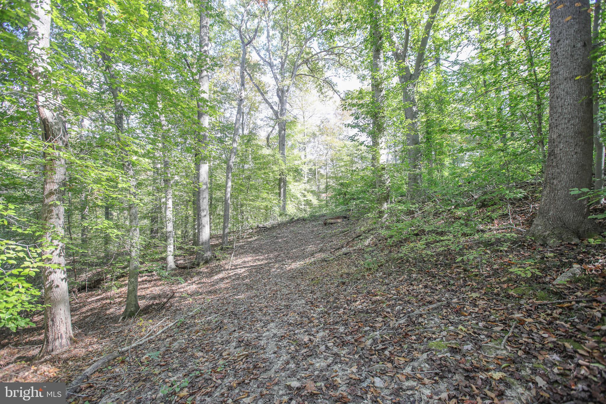 MCGRATH LAKE JACKSON SHO - Residential