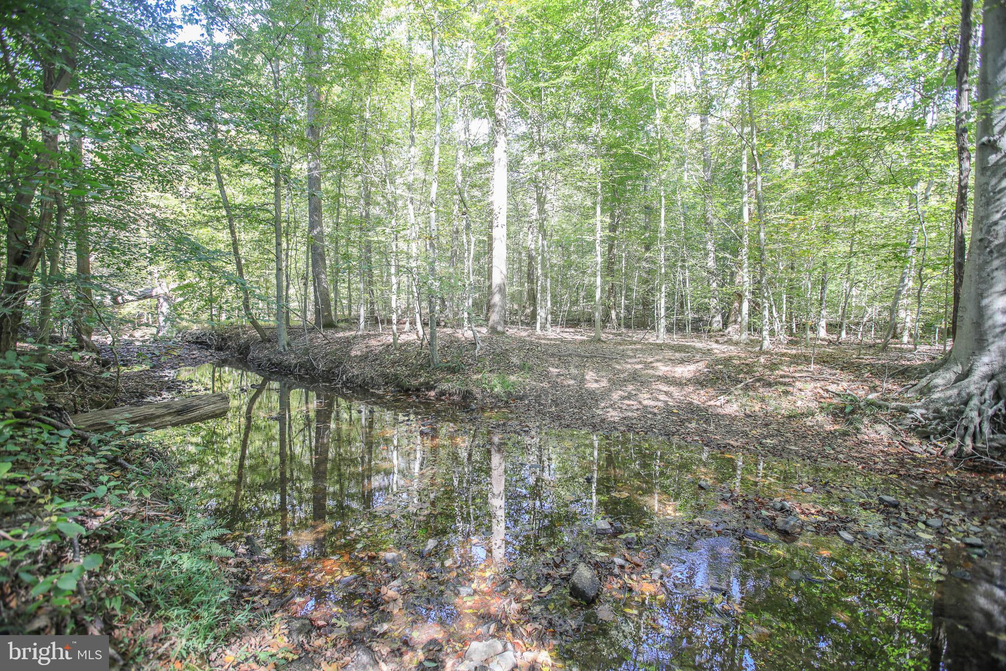 MCGRATH LAKE JACKSON SHO - Residential