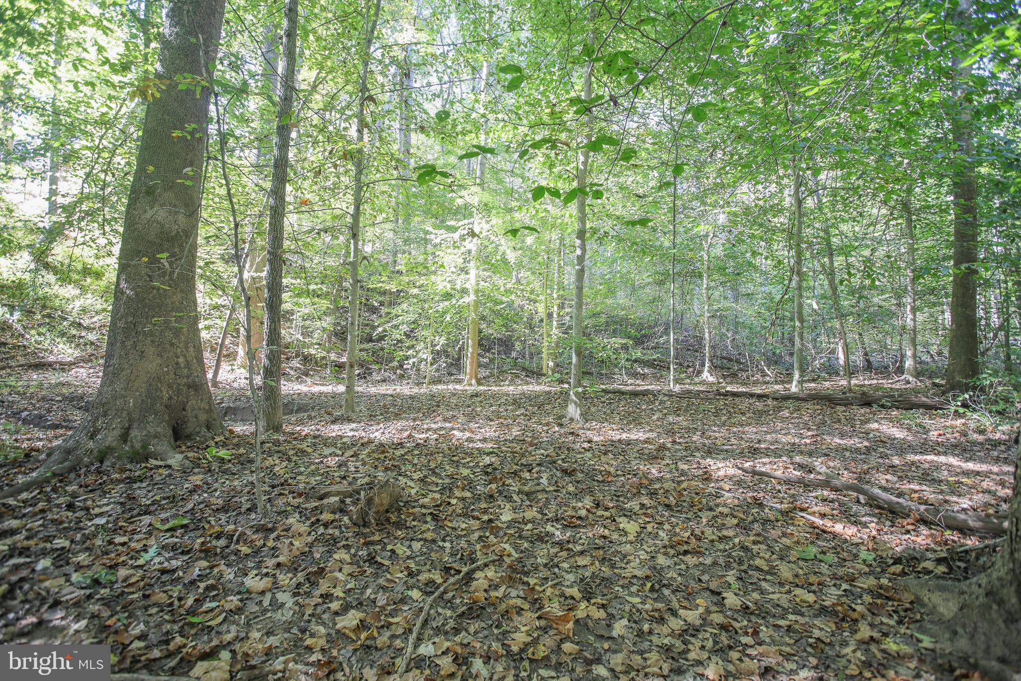 MCGRATH LAKE JACKSON SHO - Residential