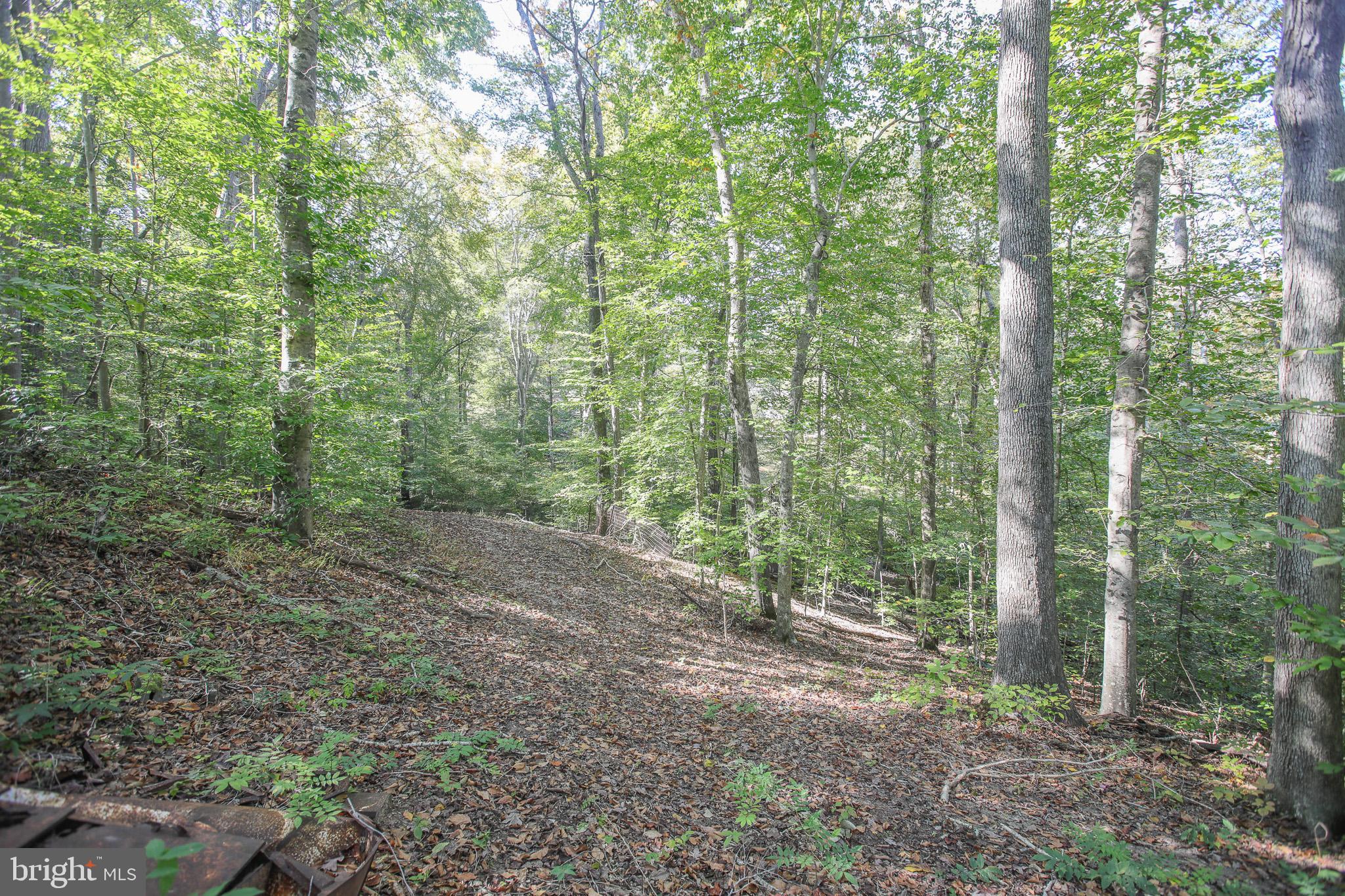 MCGRATH LAKE JACKSON SHO - Residential