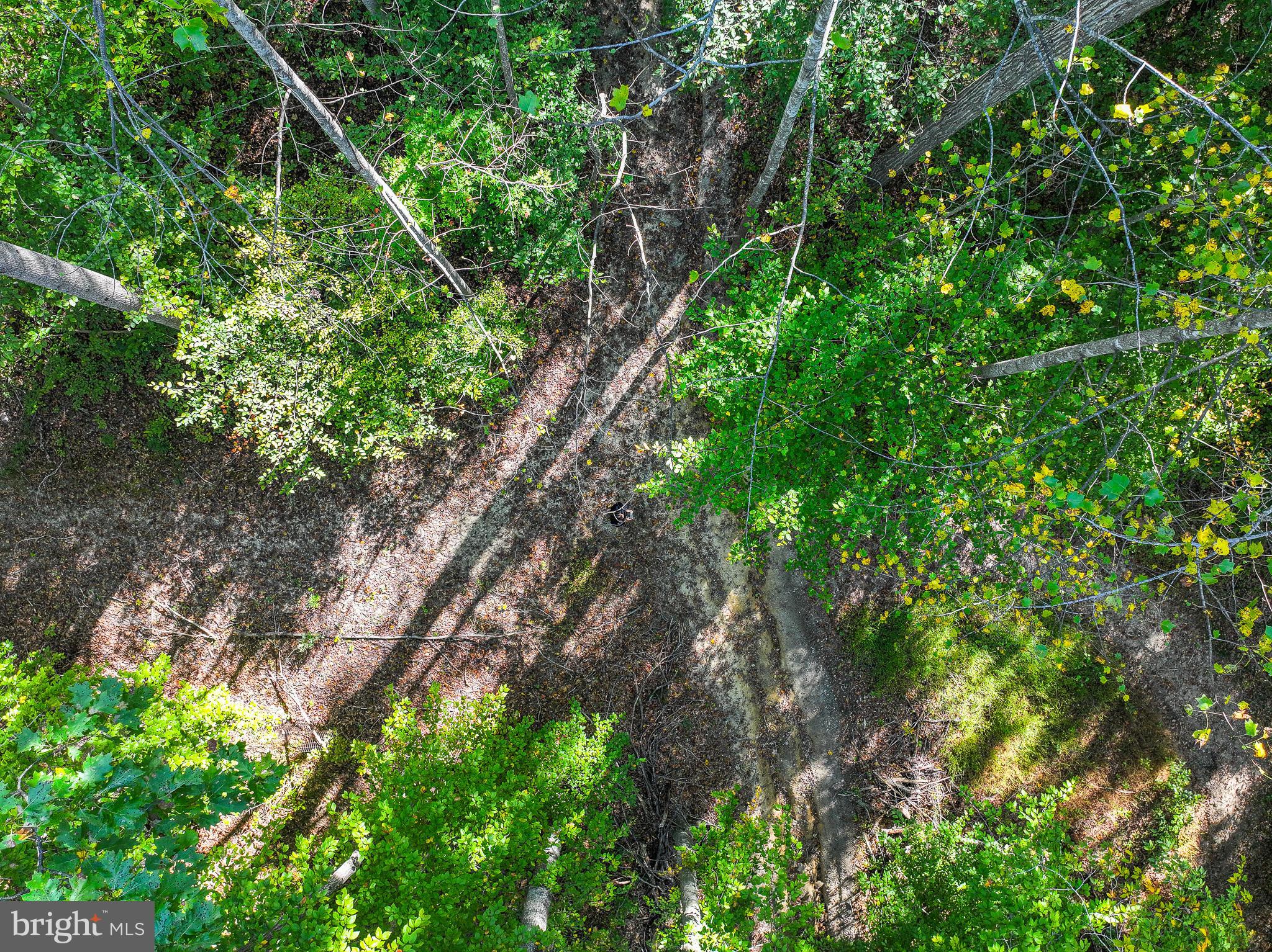 MCGRATH LAKE JACKSON SHO - Residential