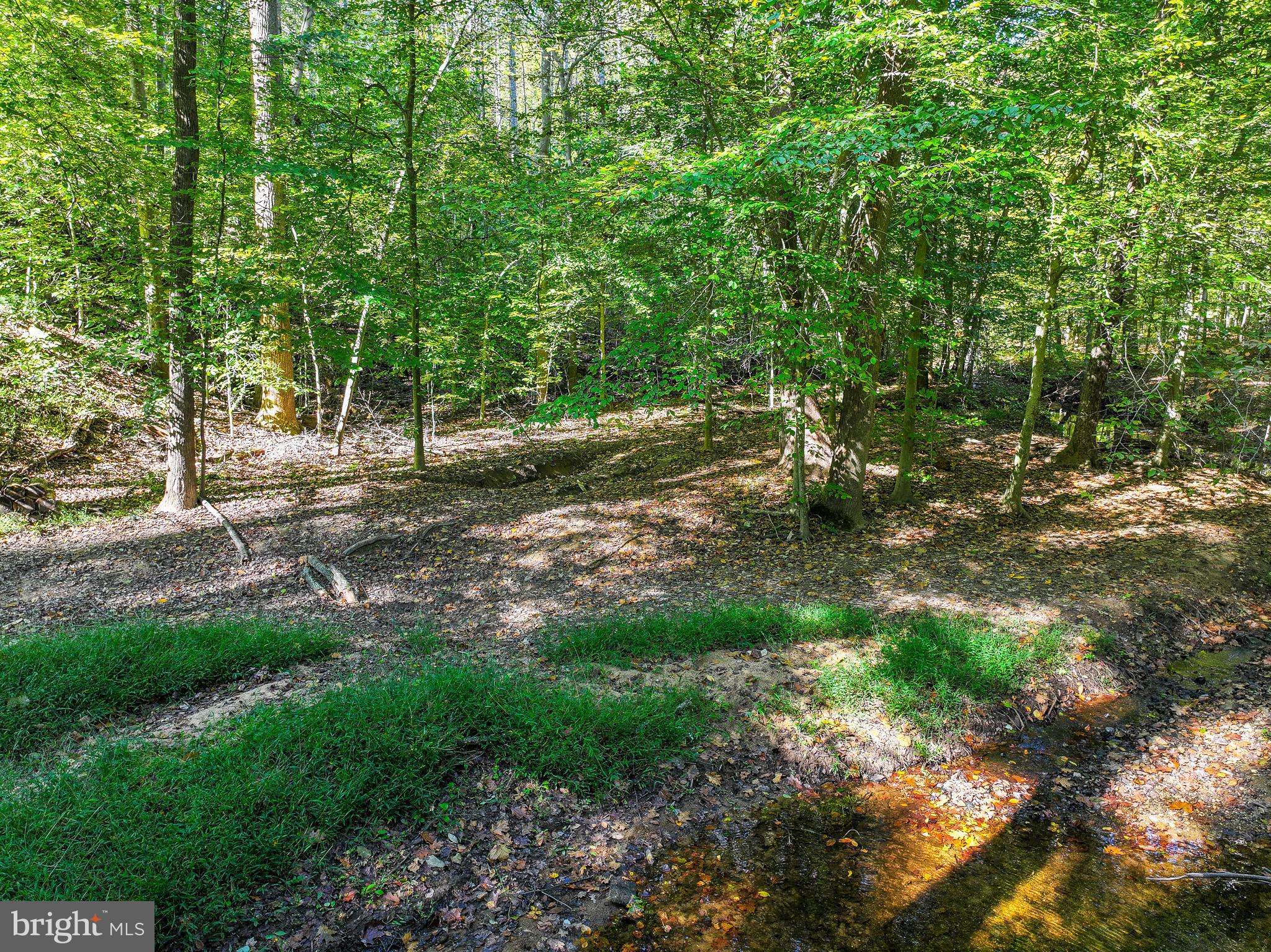 MCGRATH LAKE JACKSON SHO - Residential