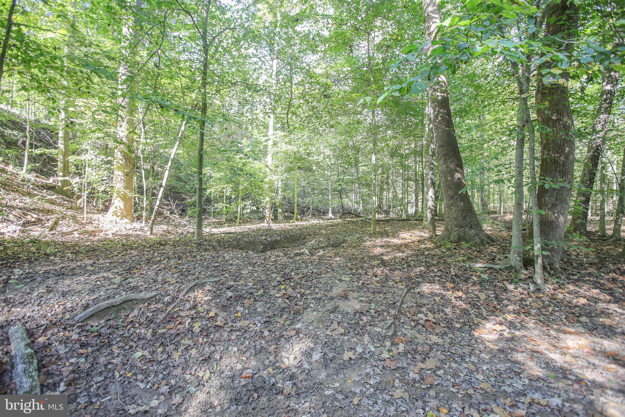 MCGRATH LAKE JACKSON SHO - Residential