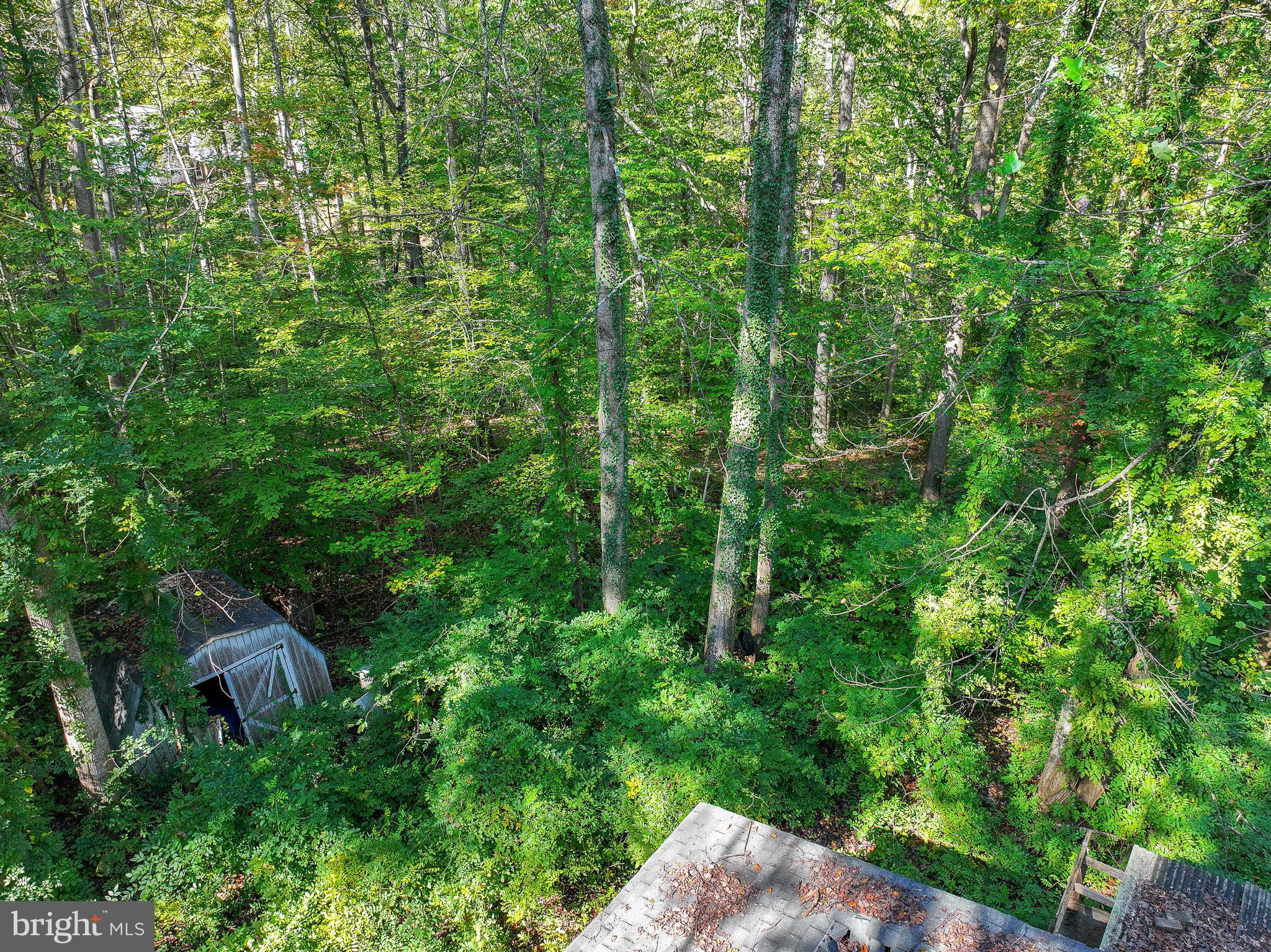 MCGRATH LAKE JACKSON SHO - Residential