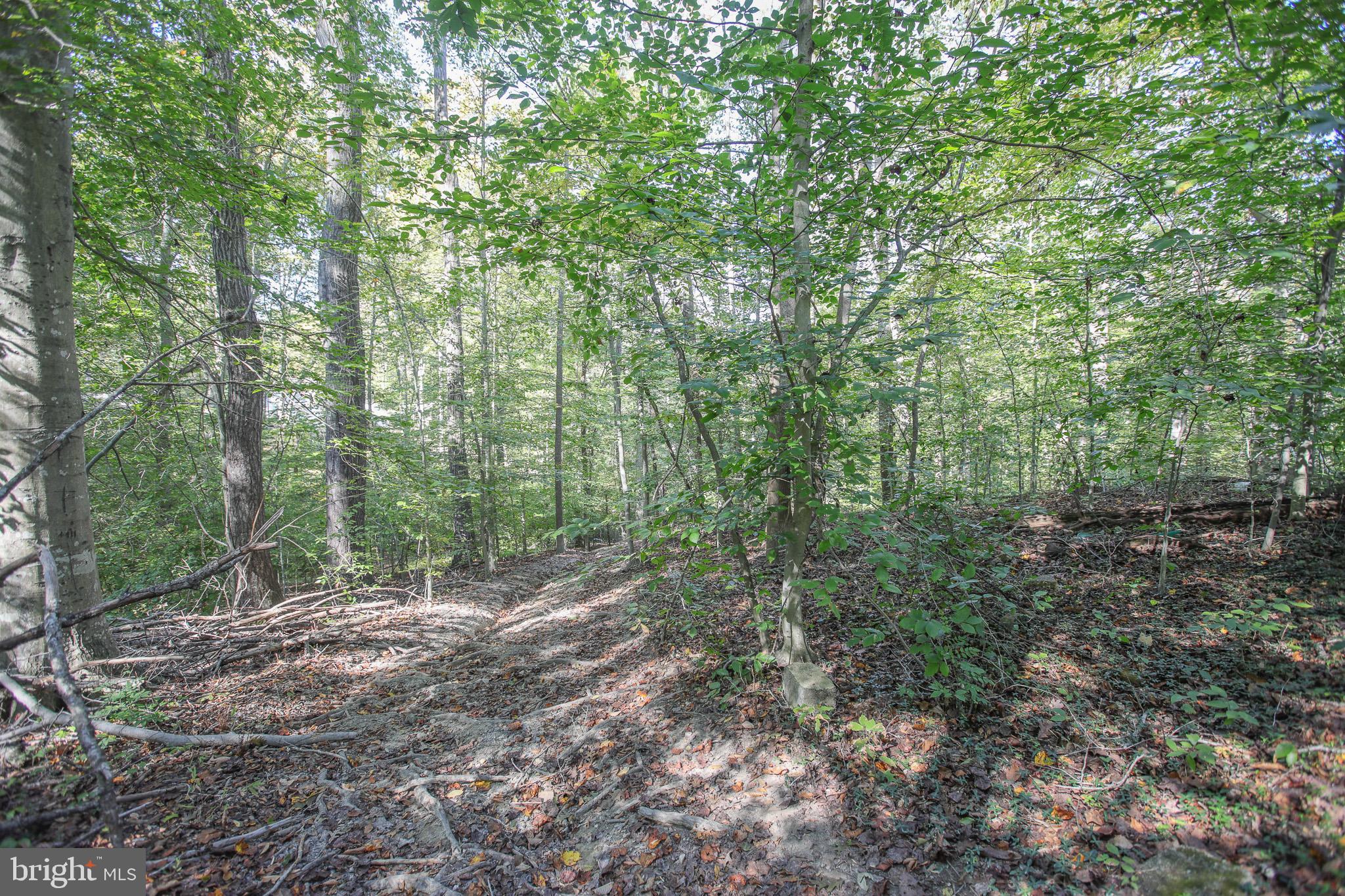 MCGRATH LAKE JACKSON SHO - Residential