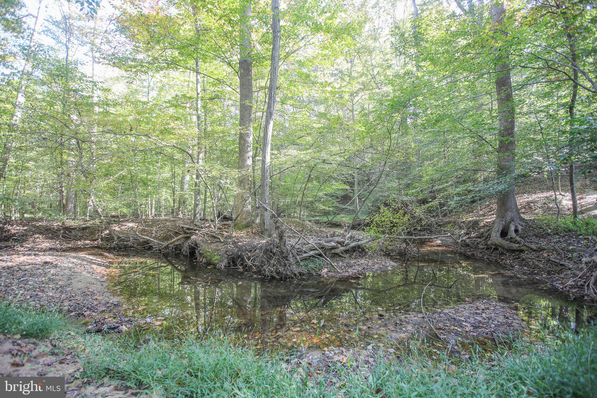 MCGRATH LAKE JACKSON SHO - Residential