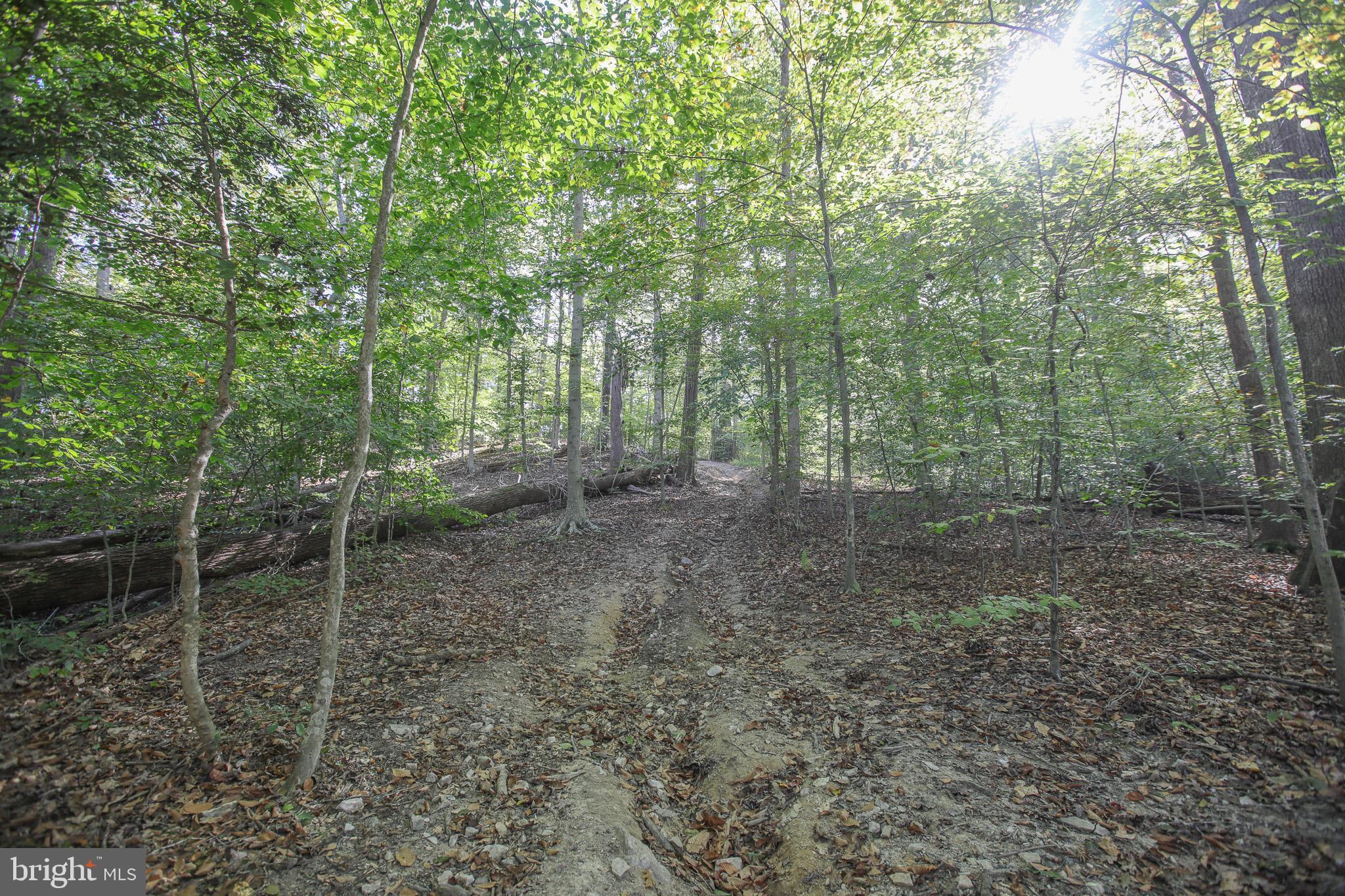 MCGRATH LAKE JACKSON SHO - Residential